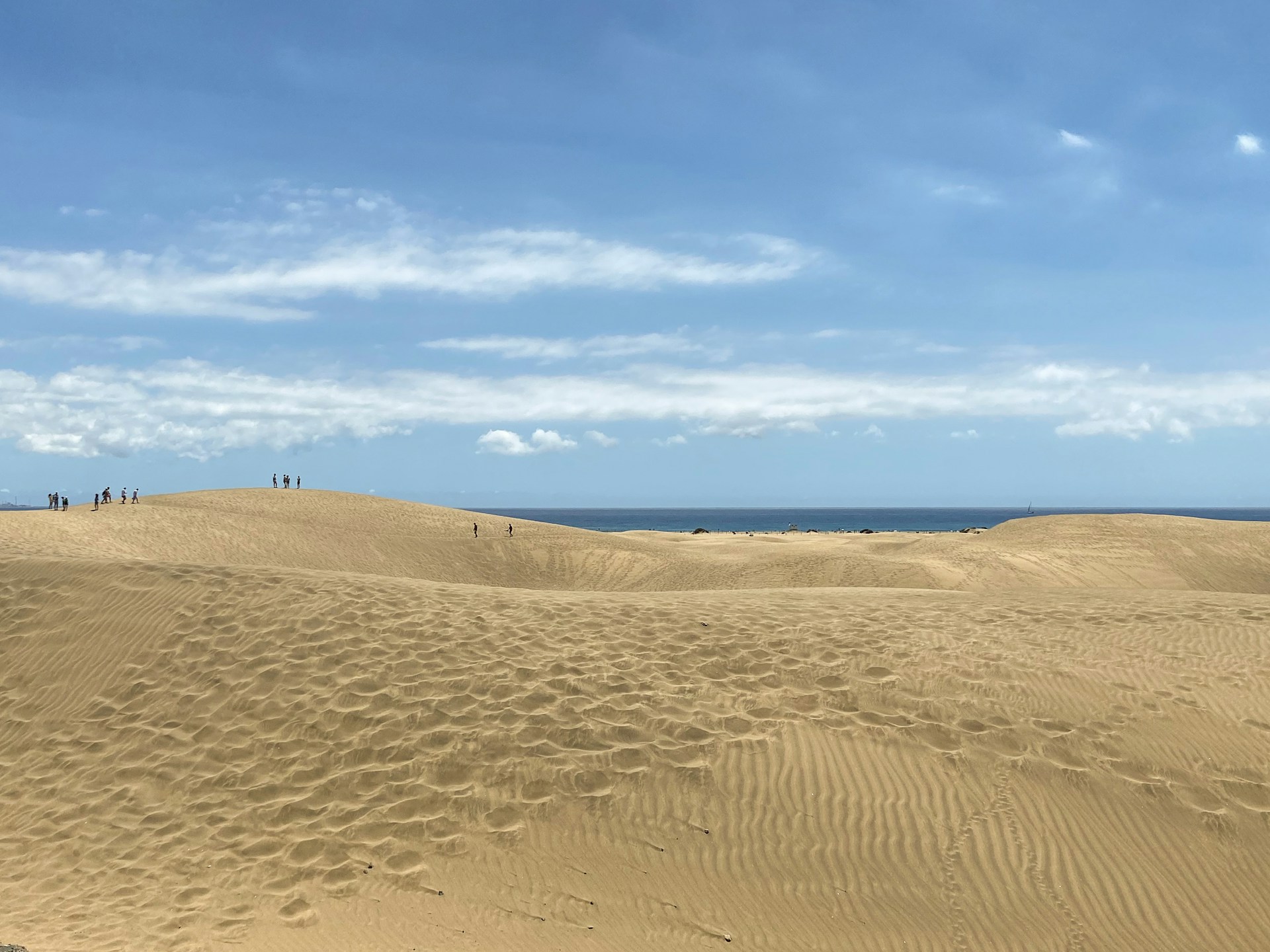 A group of people standing on top of a sandy beach