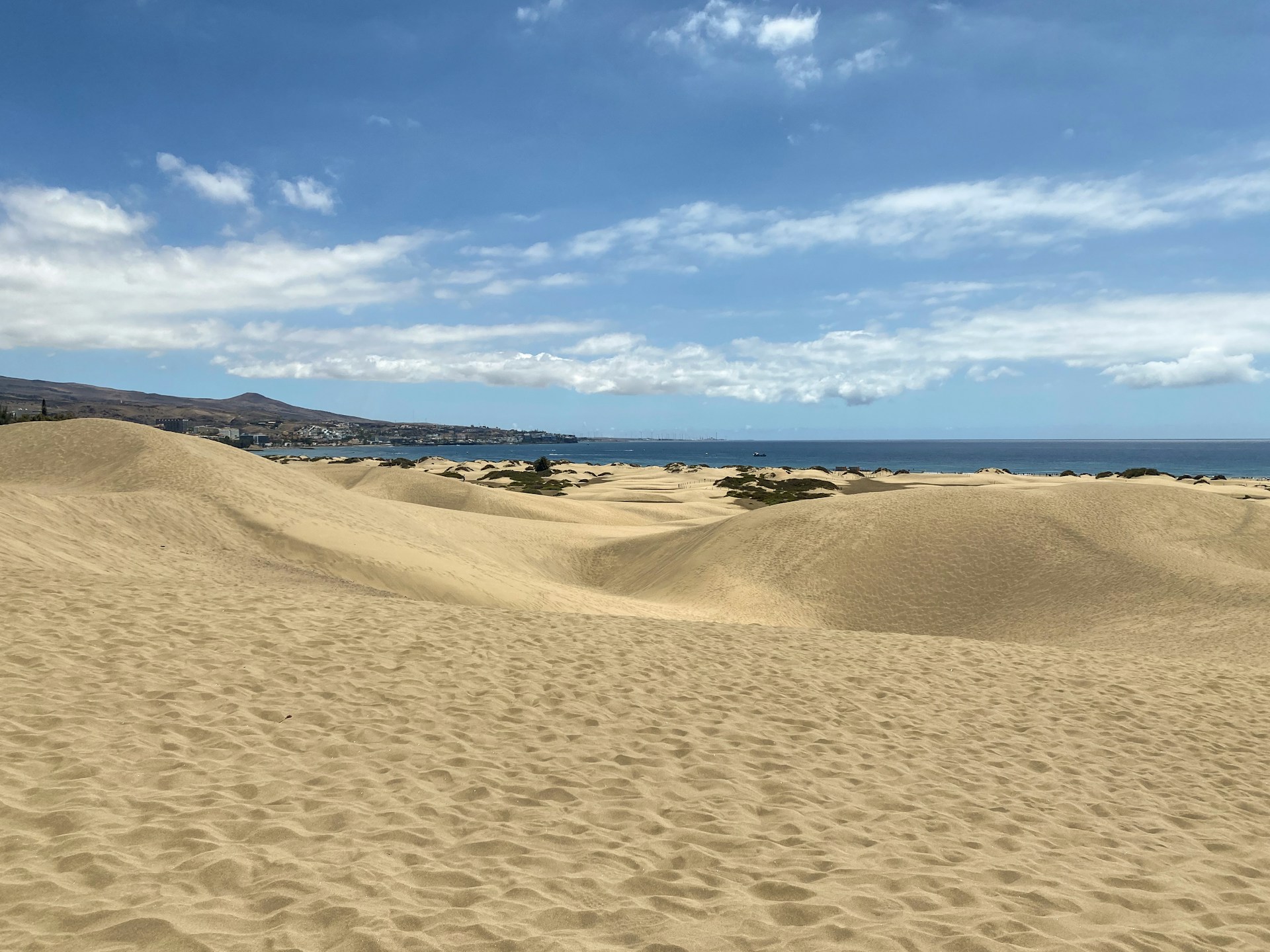 A sandy beach with a blue sky and ocean in the background