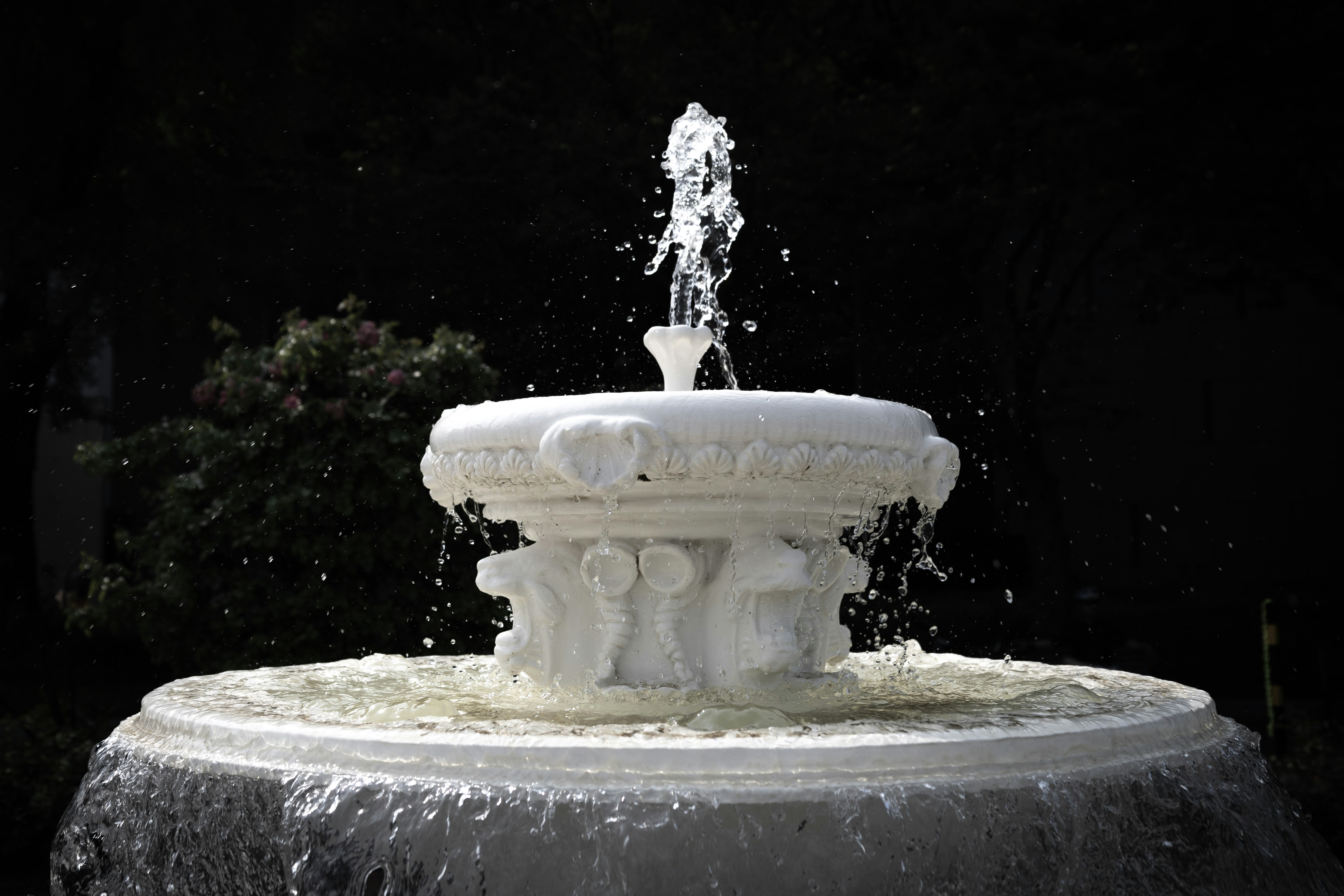 Photo by i_love_stat