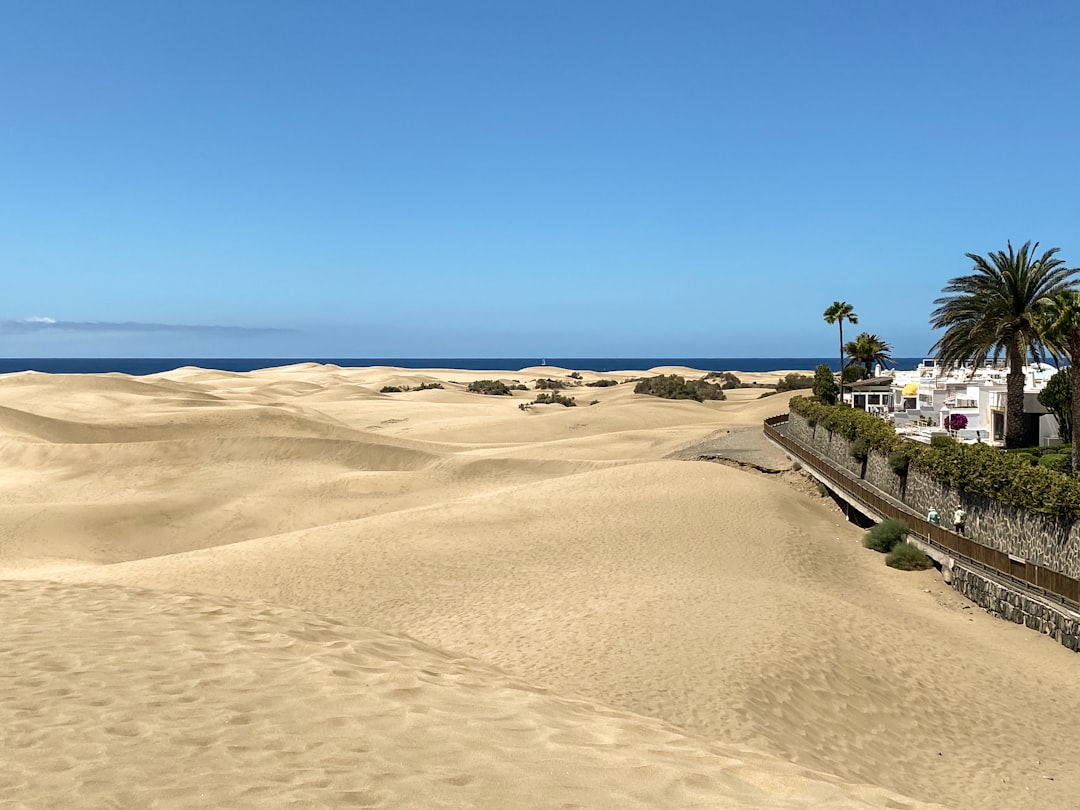 A sandy beach with palm trees and a blue sky, The Maspalomas Dunes with a fence, walkway, and buildings alongside