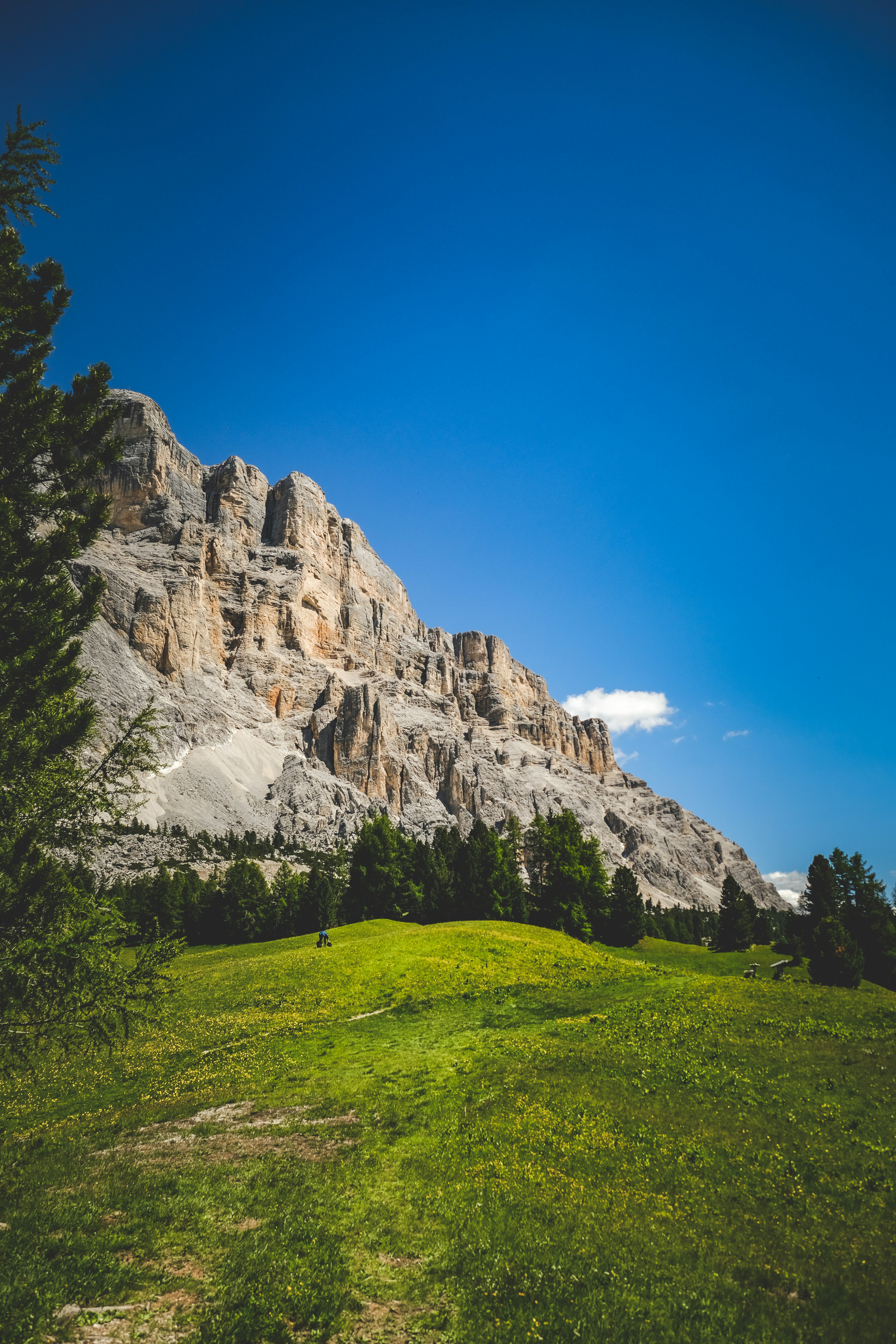 Photo by francesco_ungaro