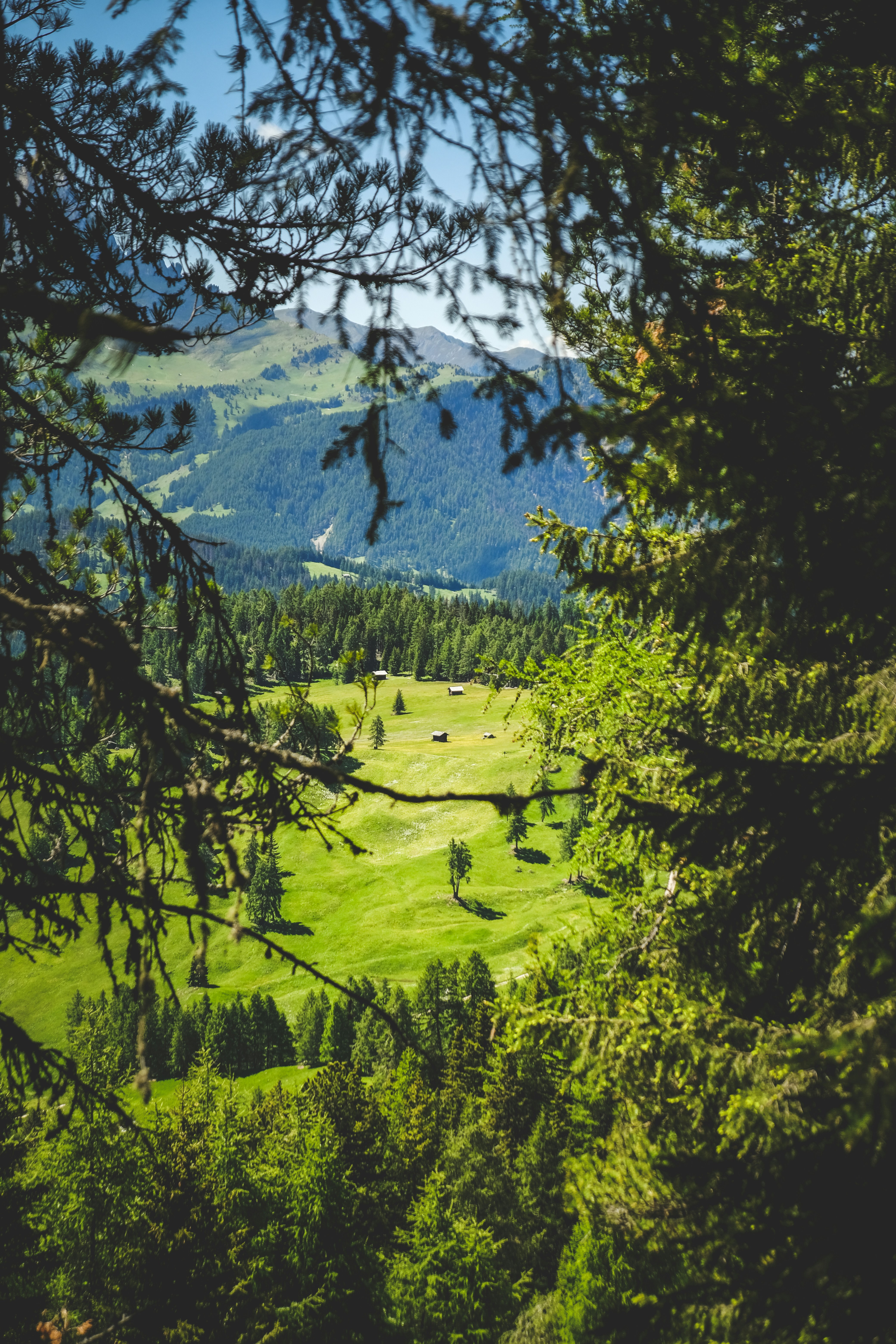 Photo by francesco_ungaro