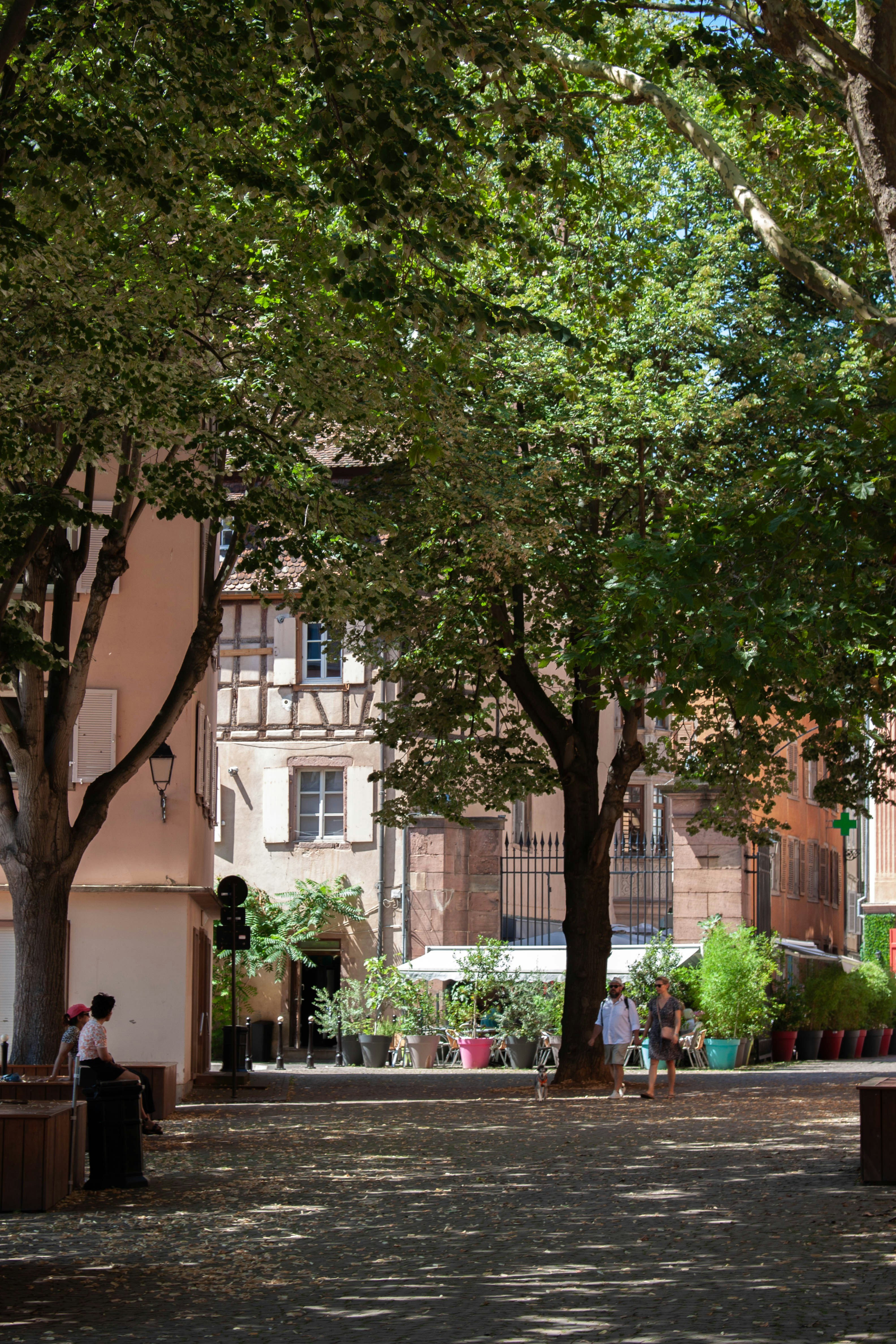 Photo by kamillaisalieva