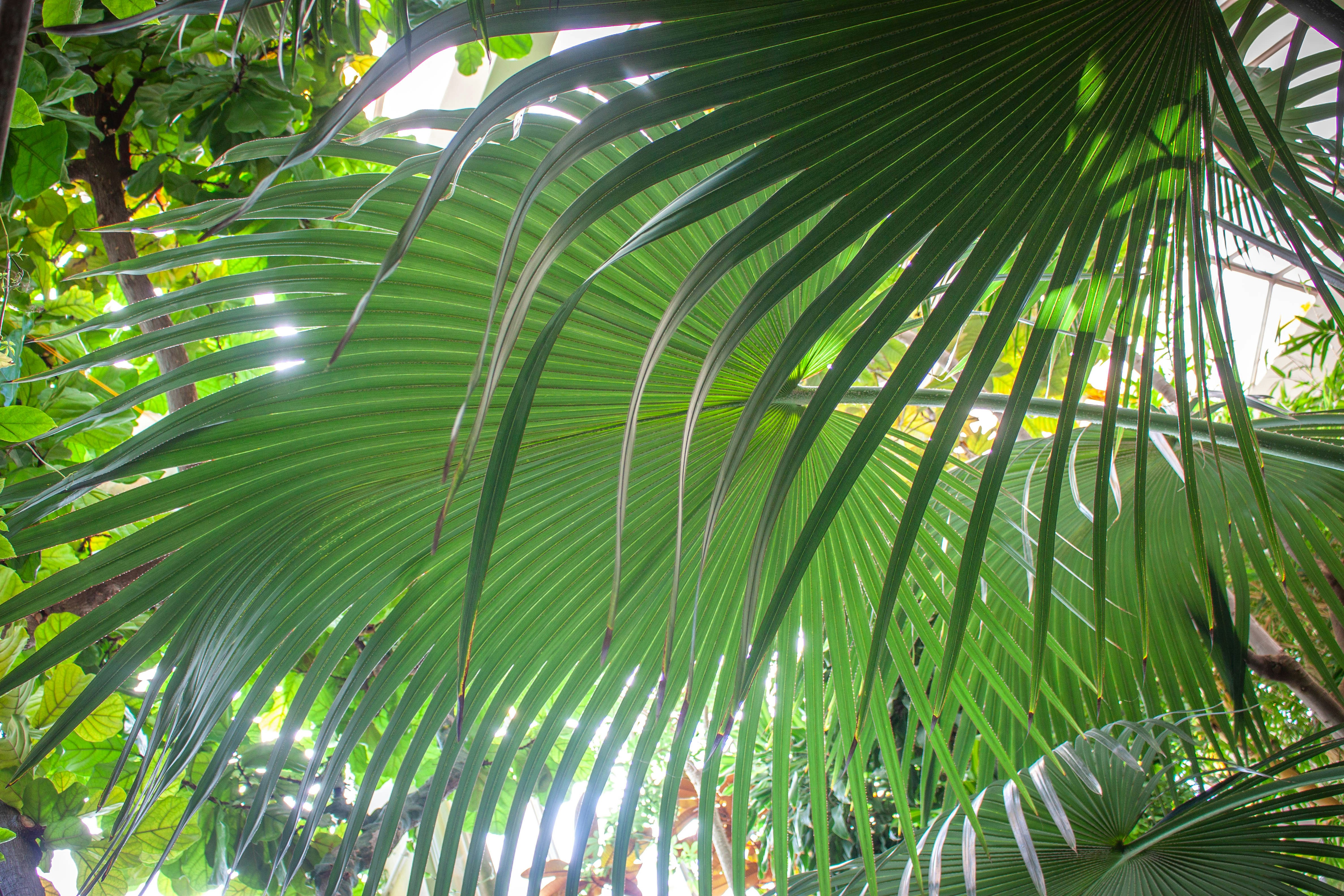 Photo by kamillaisalieva