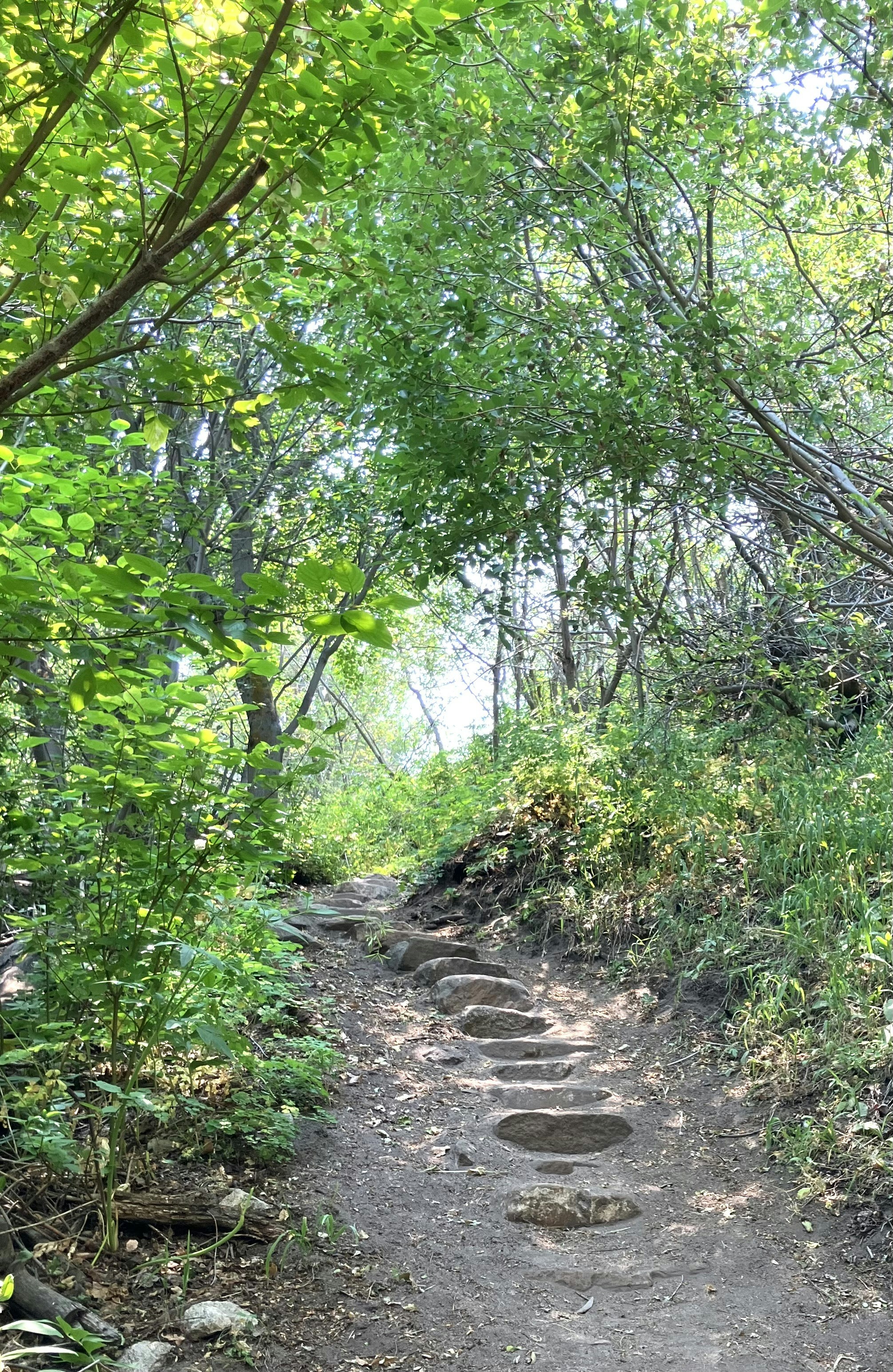 Photo by akh_artwork