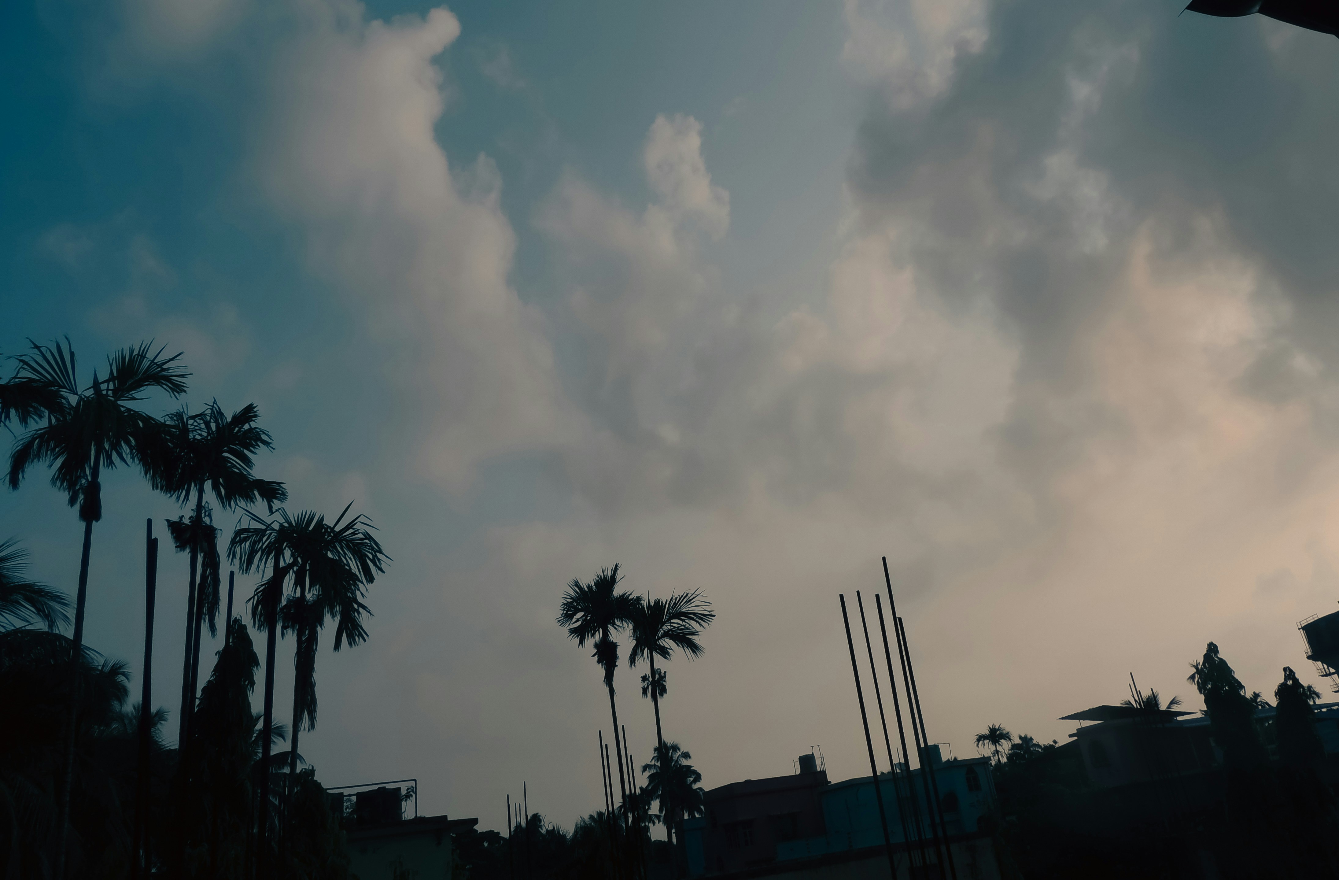 Photo by monoswita29