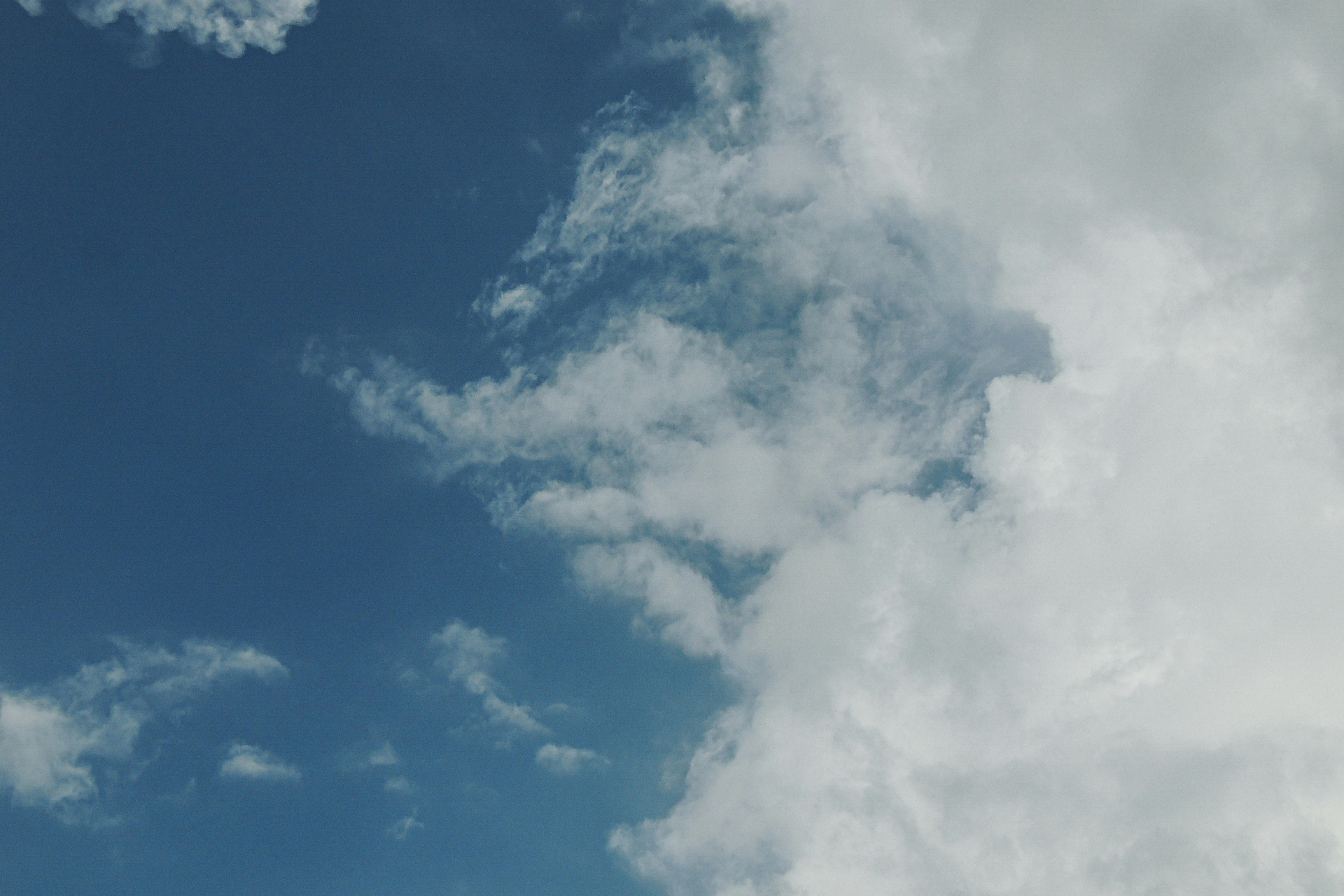 Photo by monoswita29