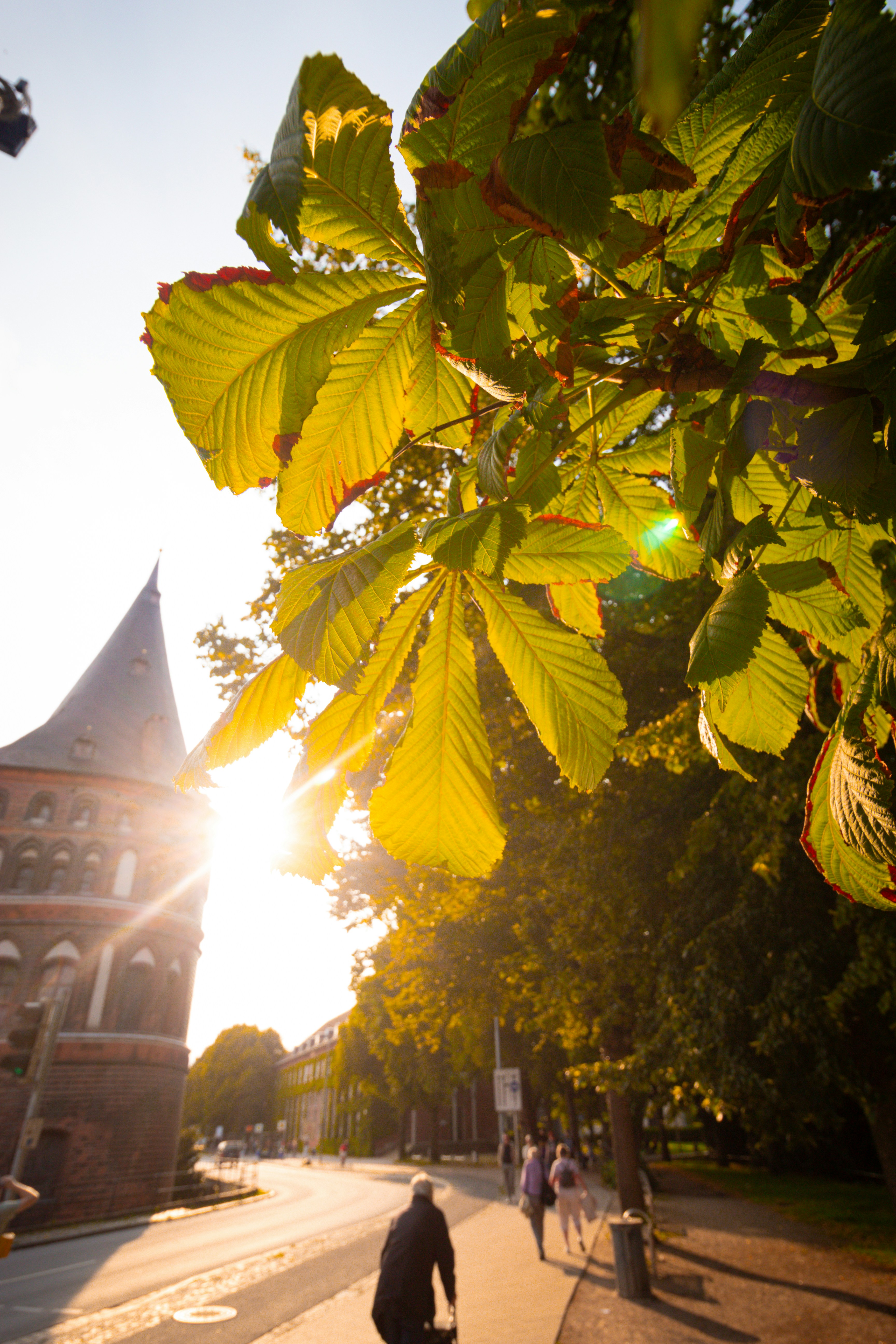 A man riding a bike down a street next to a tall building