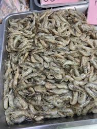 A metal tray filled with lots of bugs