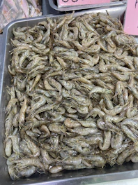 A metal tray filled with lots of bugs