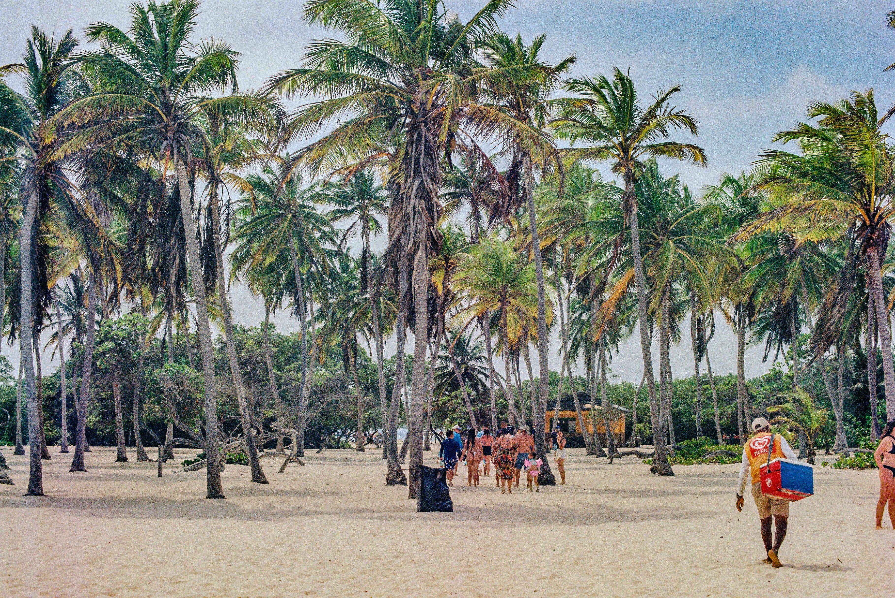 A group of people walking across a sandy beach