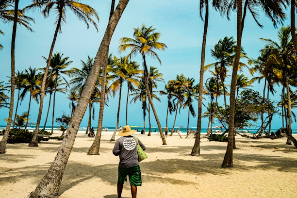 A man standing on top of a sandy beach under palm trees