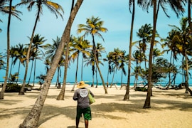 A man standing on top of a sandy beach under palm trees