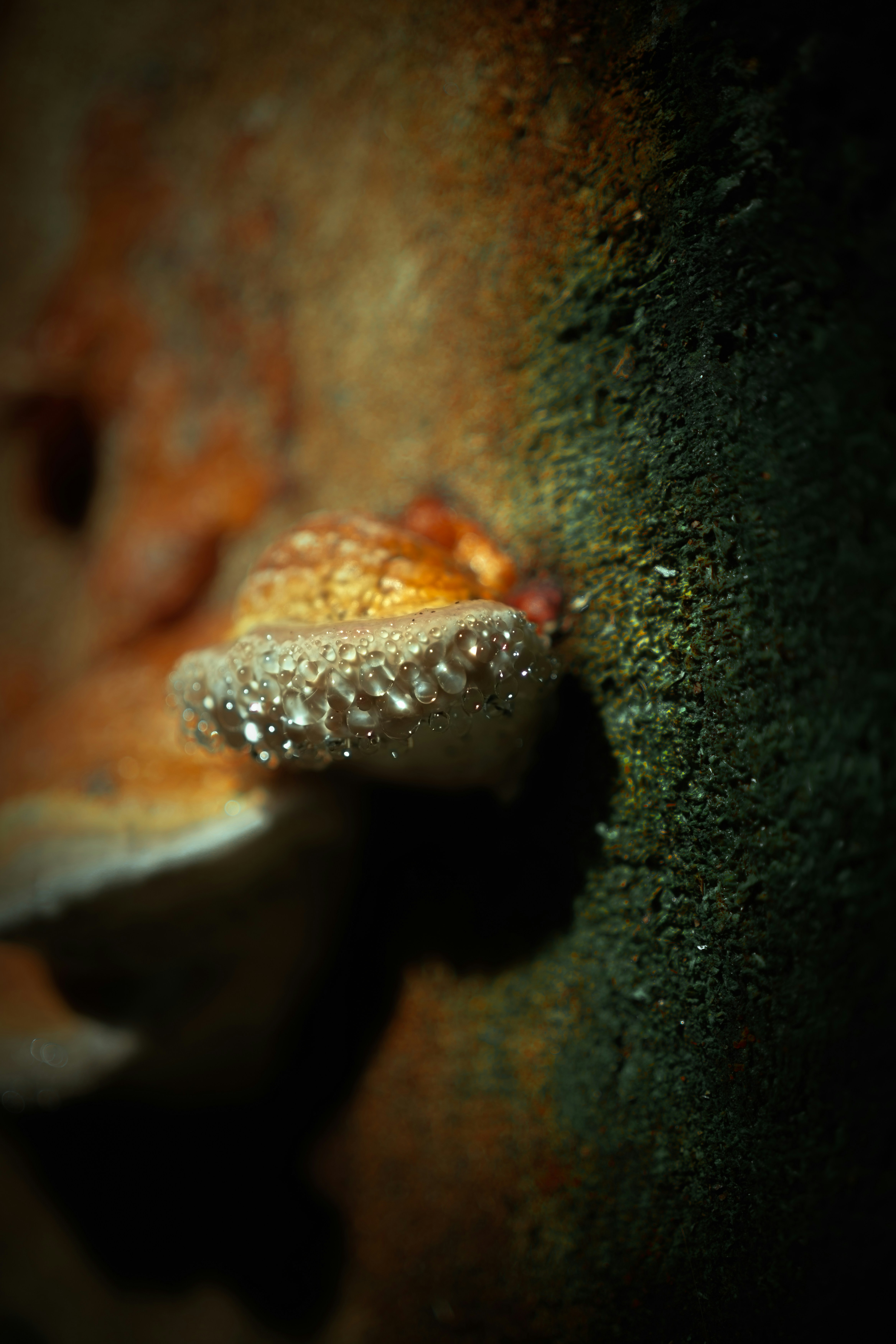 Photo by alexisnthere_