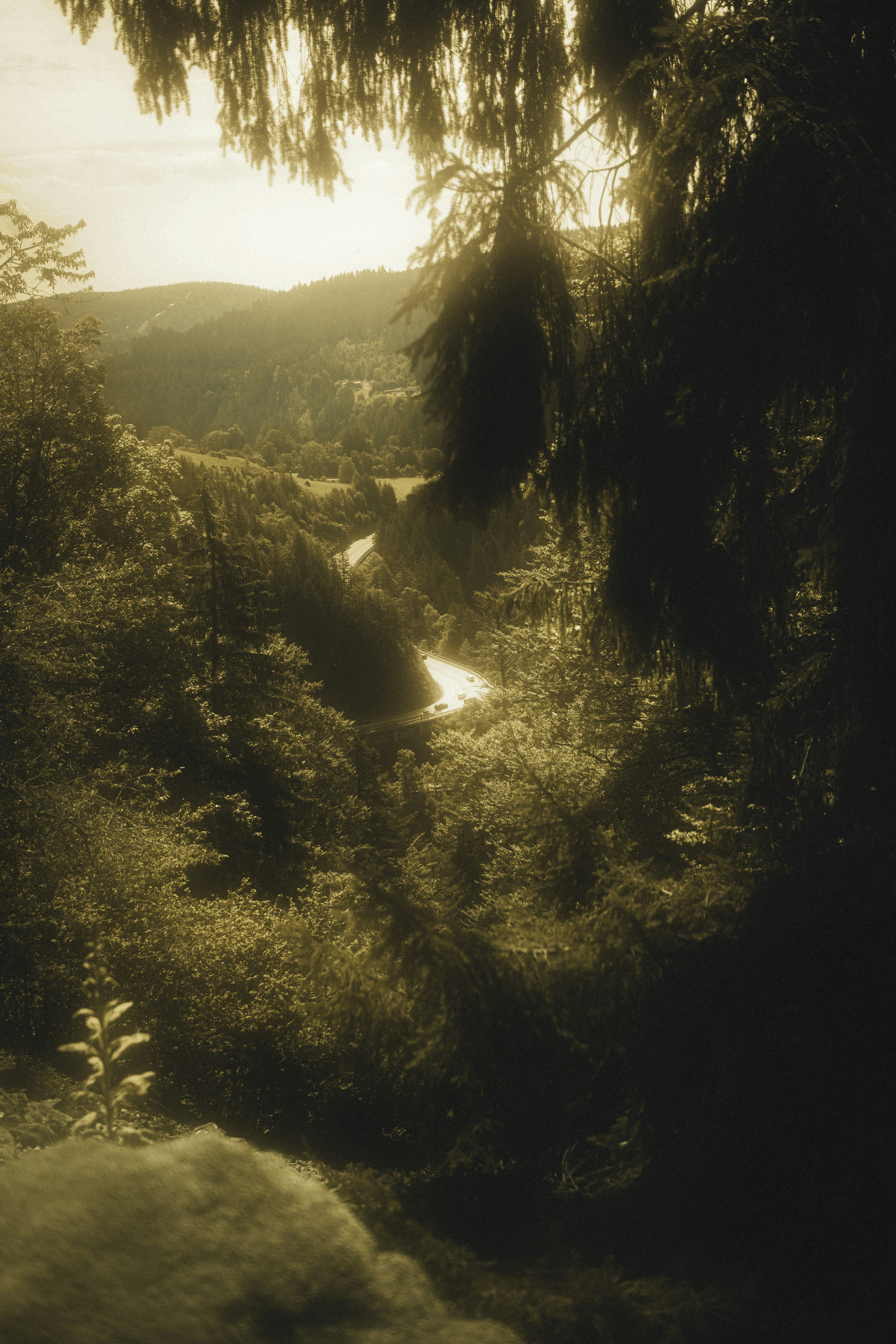 Photo by alexisnthere_