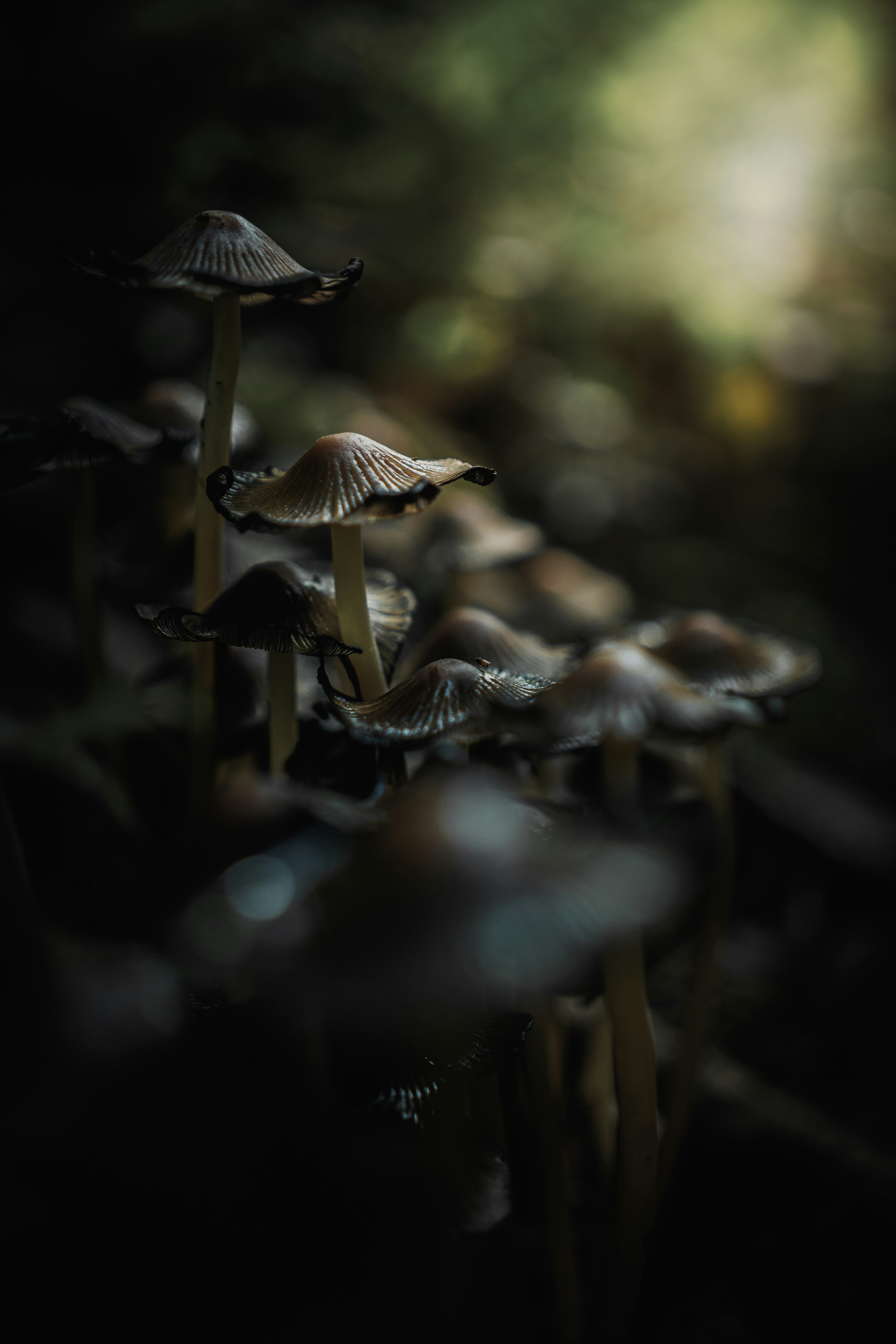 Photo by alexisnthere_