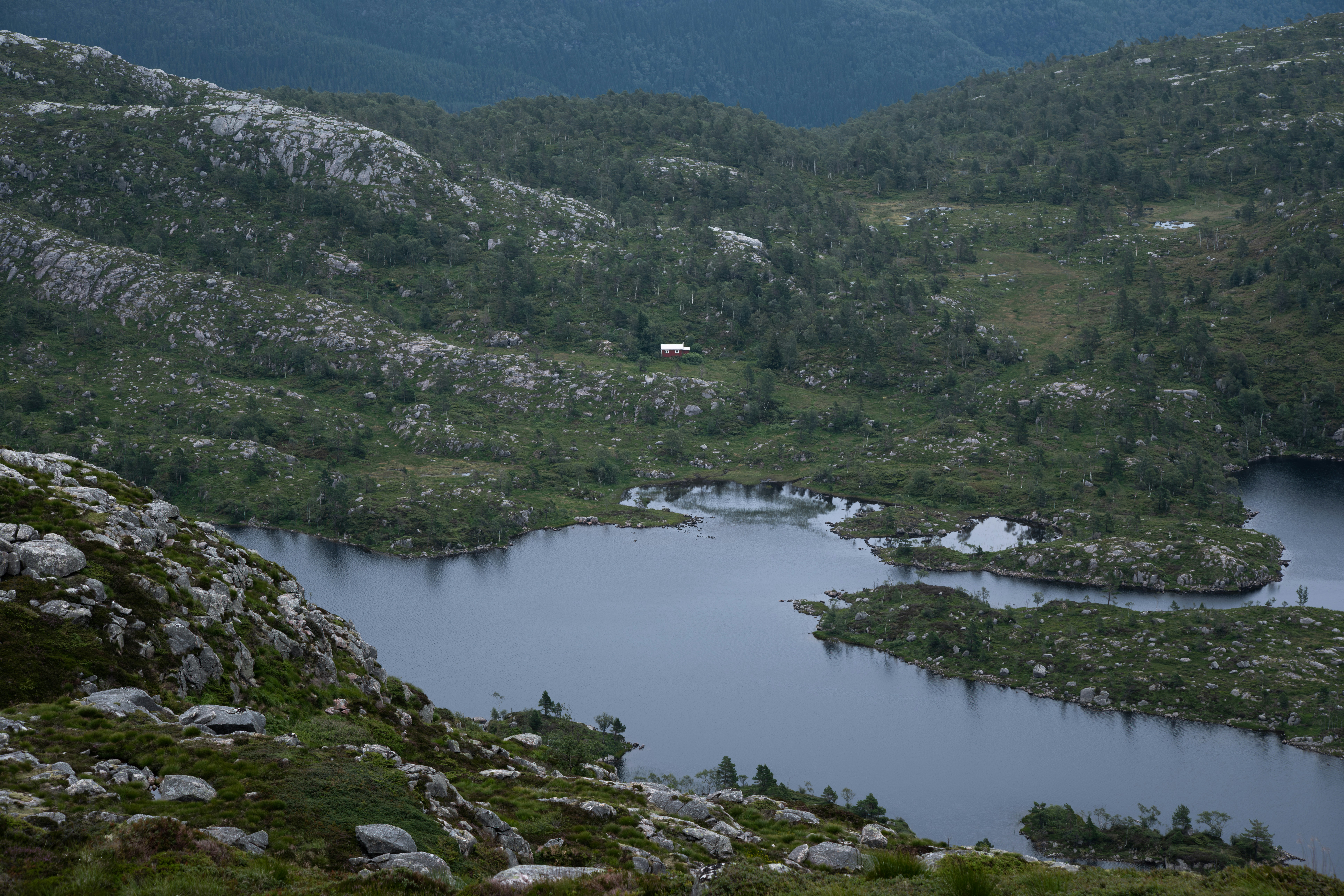A view of a lake surrounded by mountains