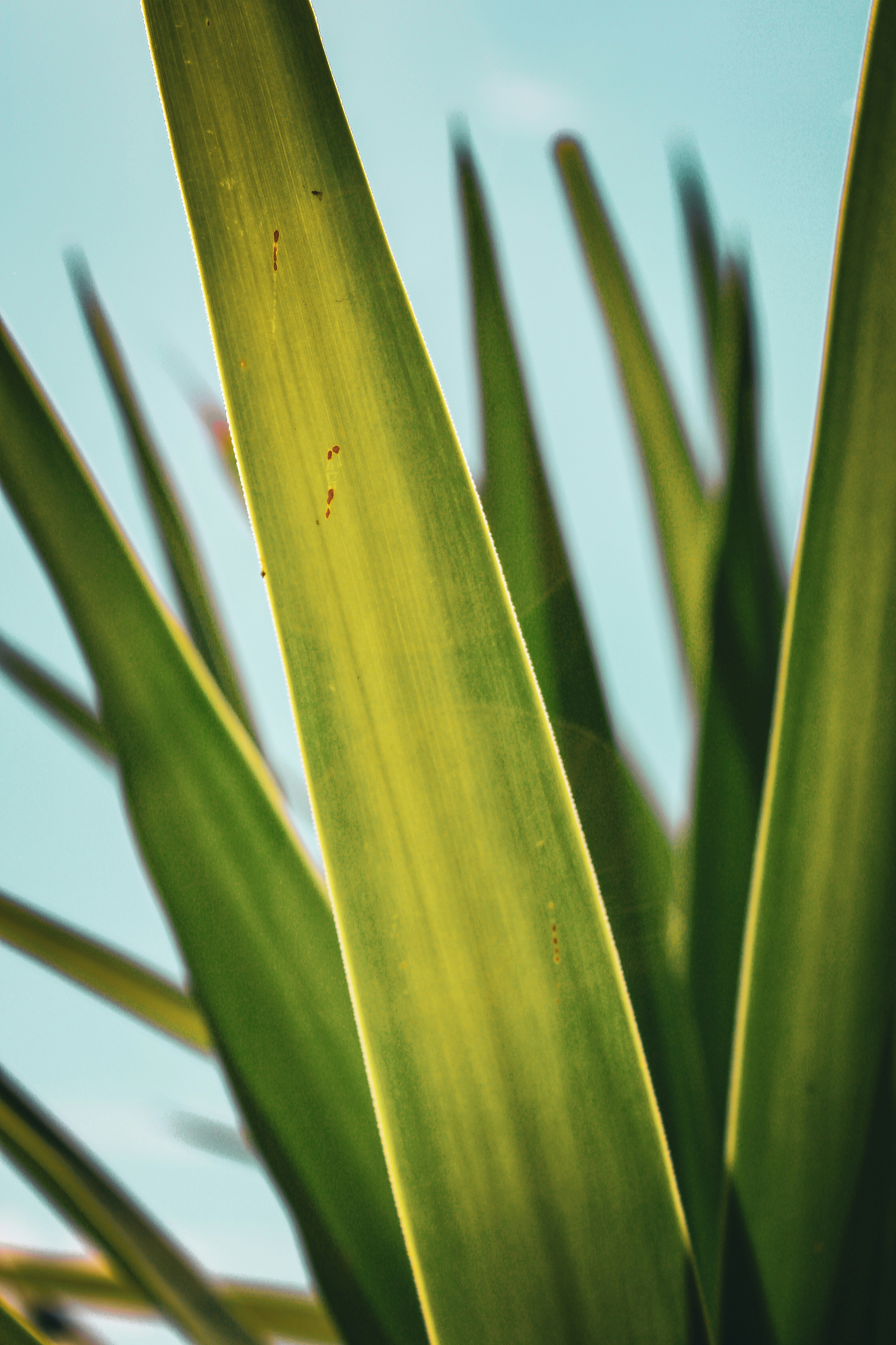 Photo by seb_oberreiter