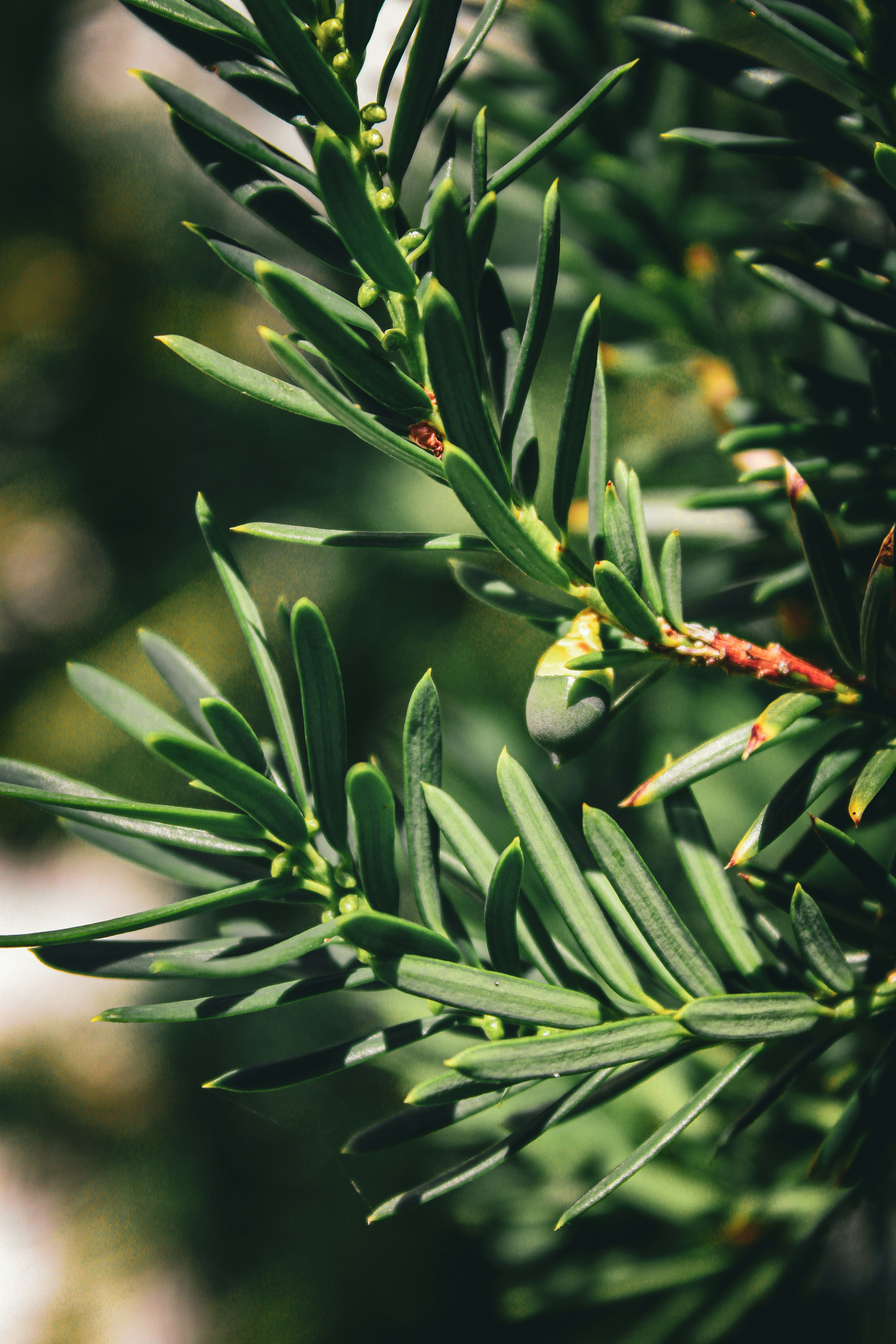 Photo by seb_oberreiter