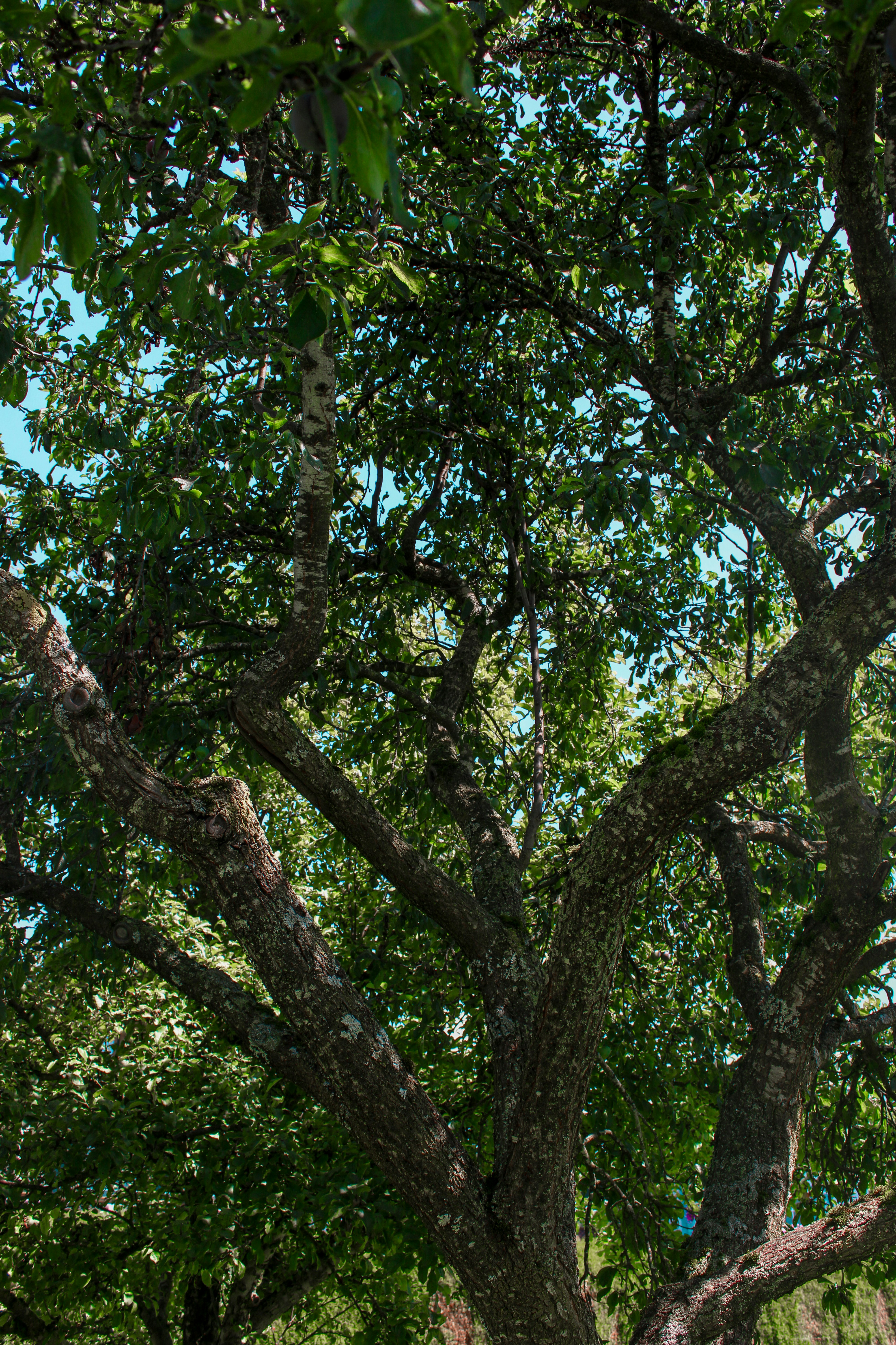 Photo by seb_oberreiter