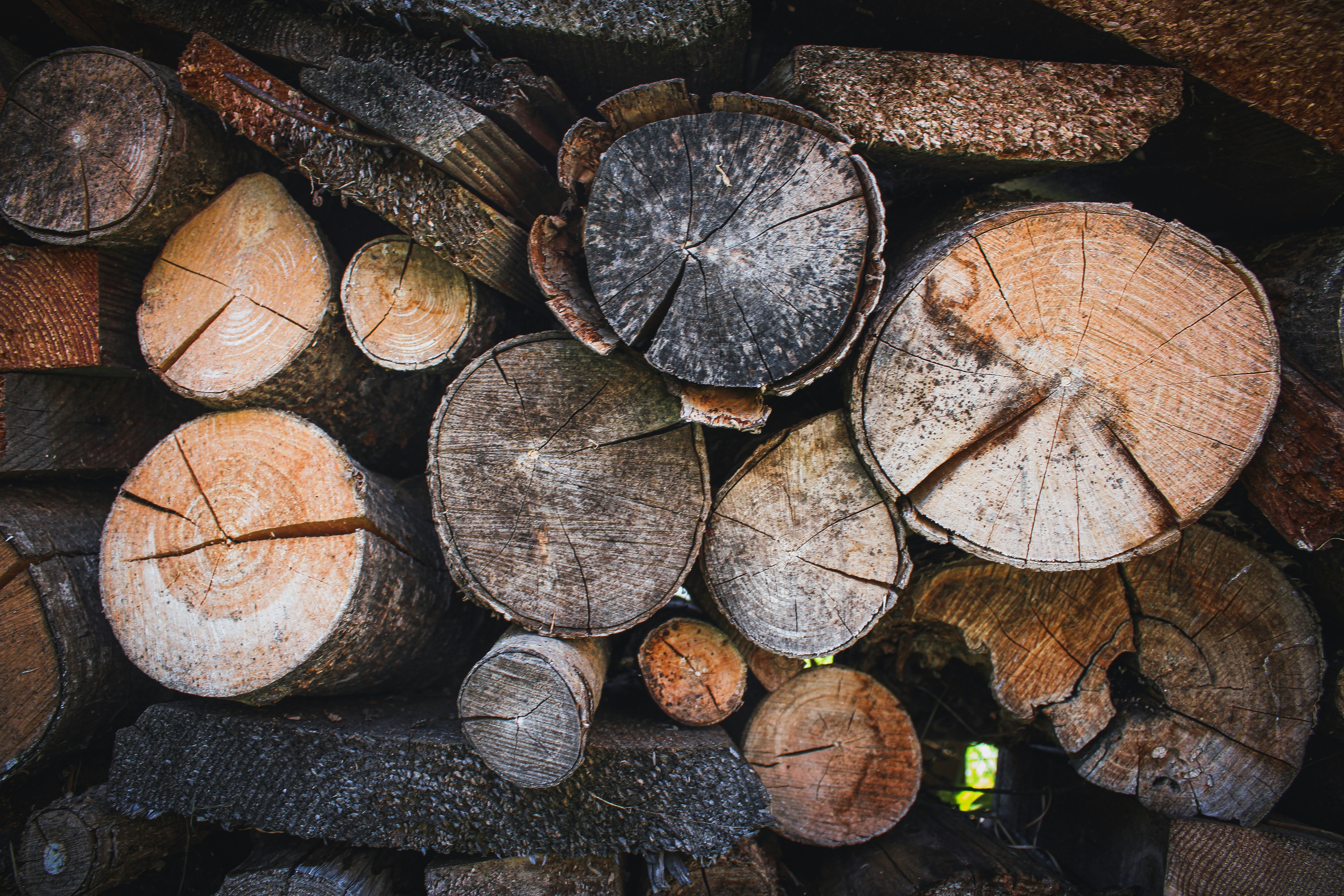 Photo by seb_oberreiter