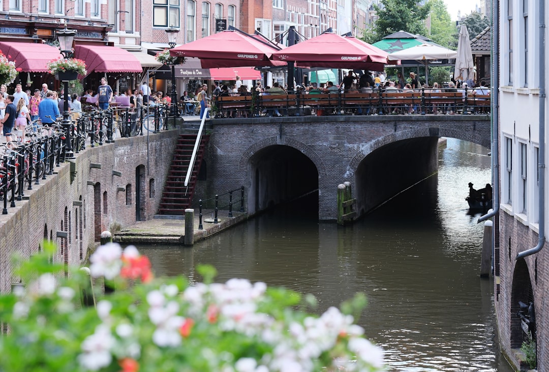 6 Diverse Day Trips from Amsterdam From Historic Windmills to Futur… — 6 Diverse Day Trips from Amsterdam
