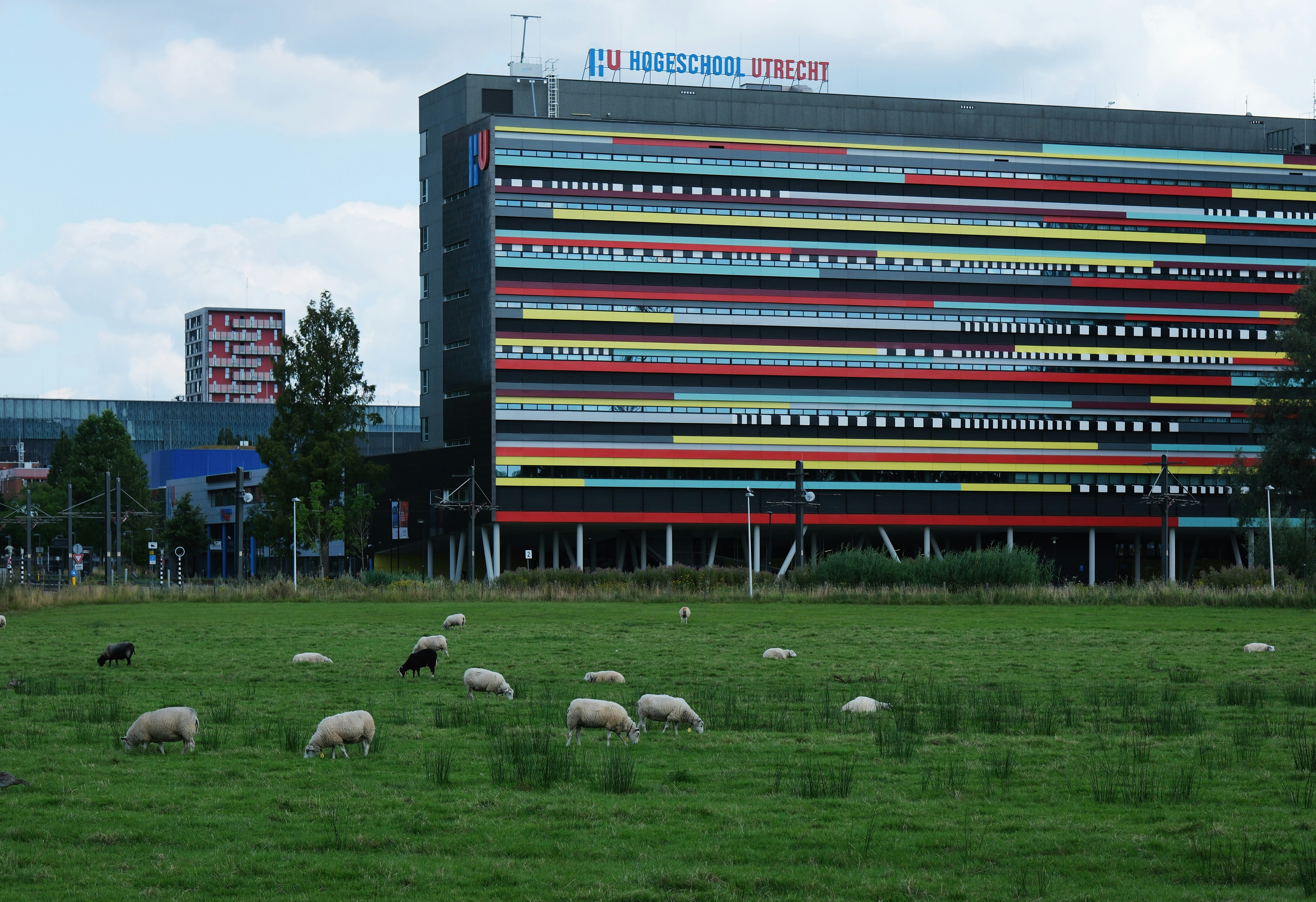 Thematic vocabulary: Healthcare (gezondheidszorg)