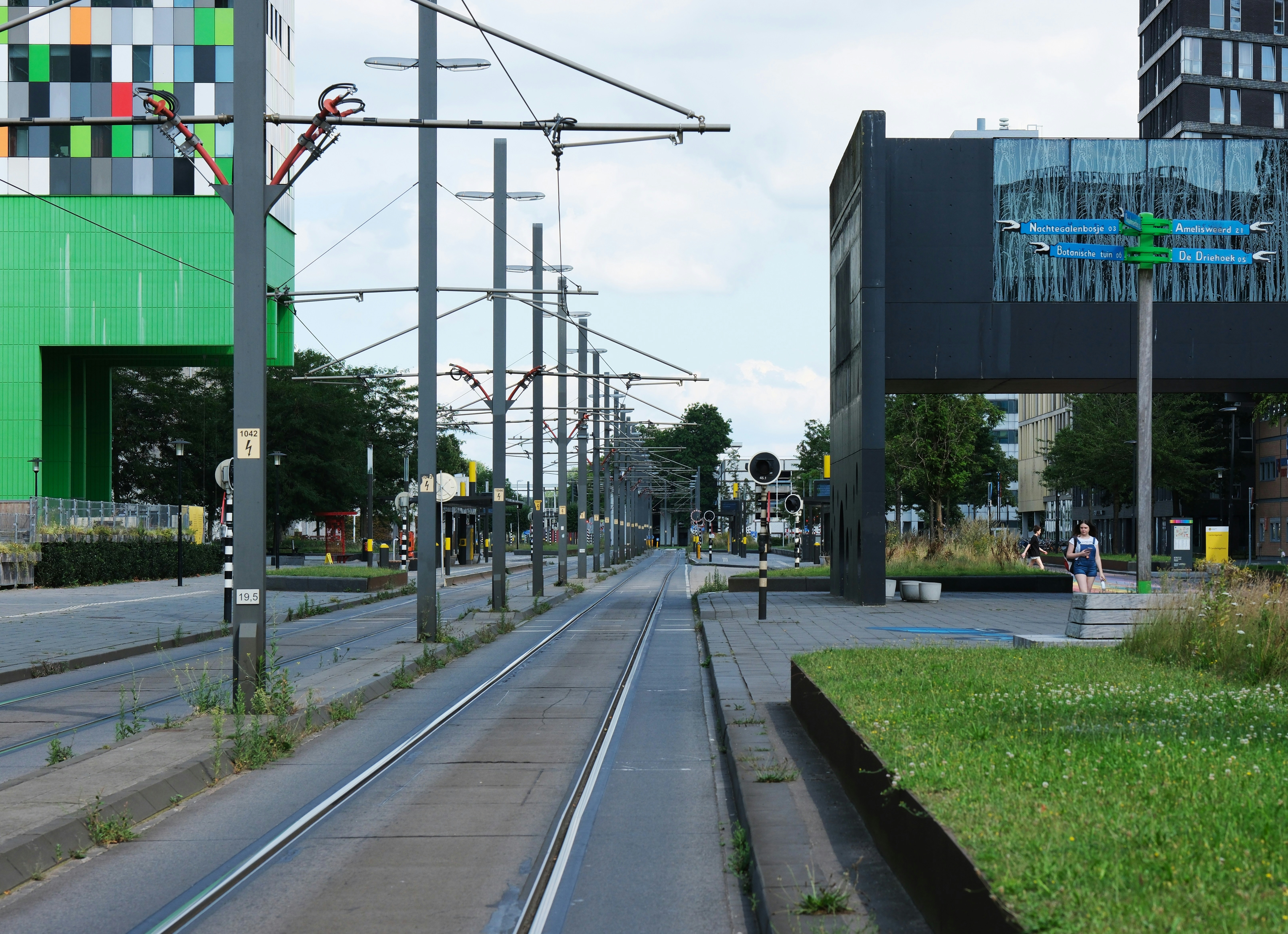Una calle de la ciudad bordeada de edificios altos y césped verde