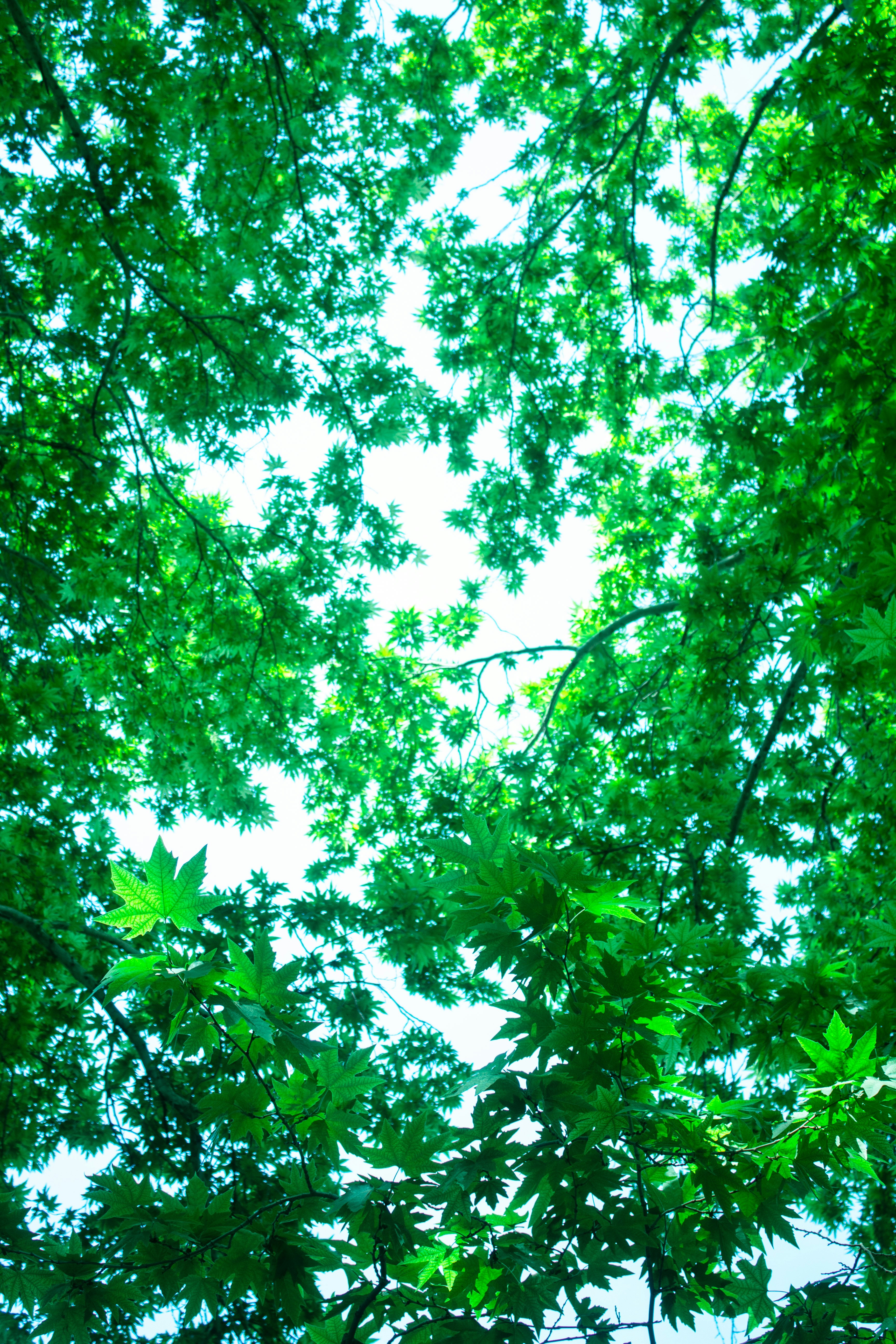 Photo by elham_frame