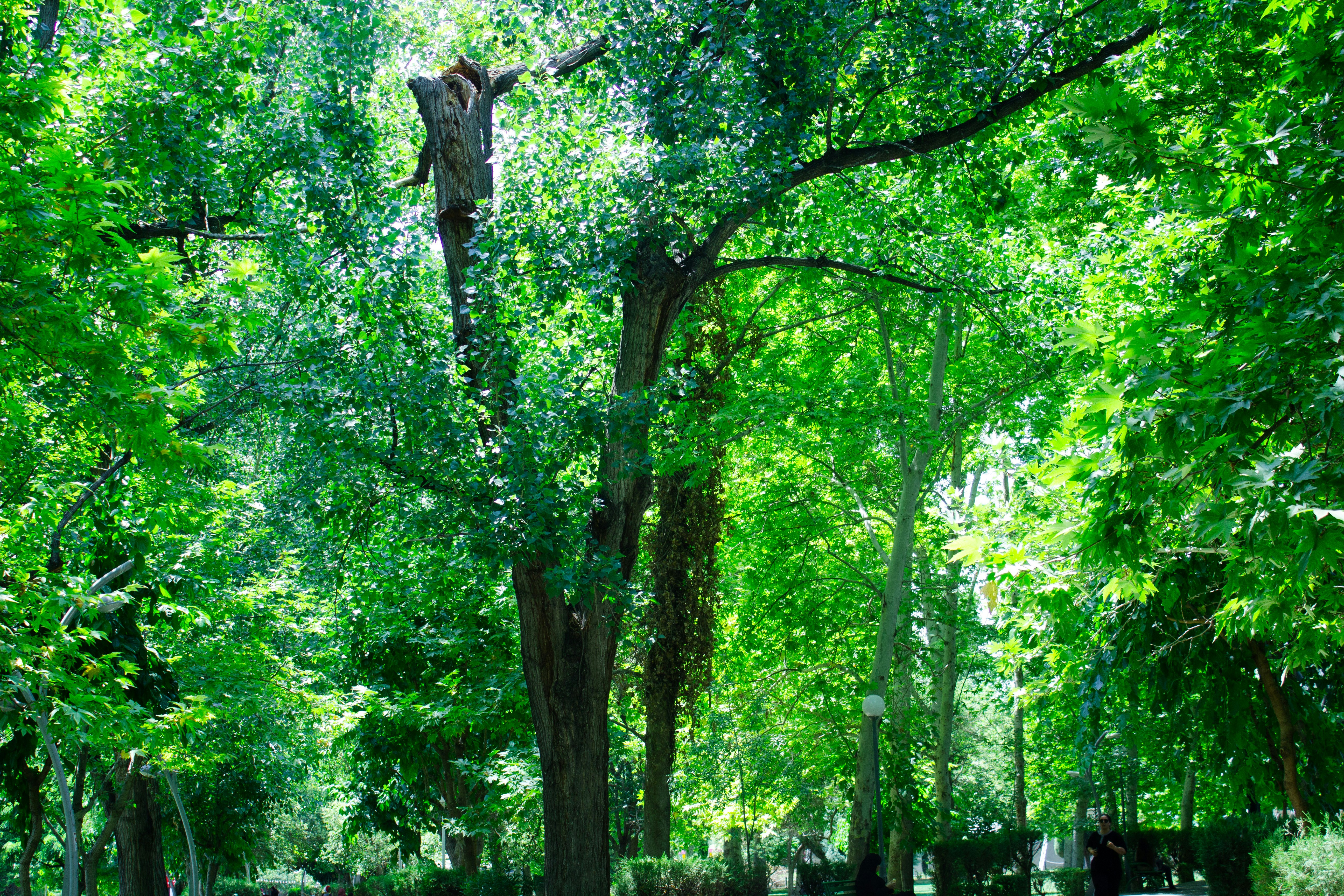 Photo by elham_frame