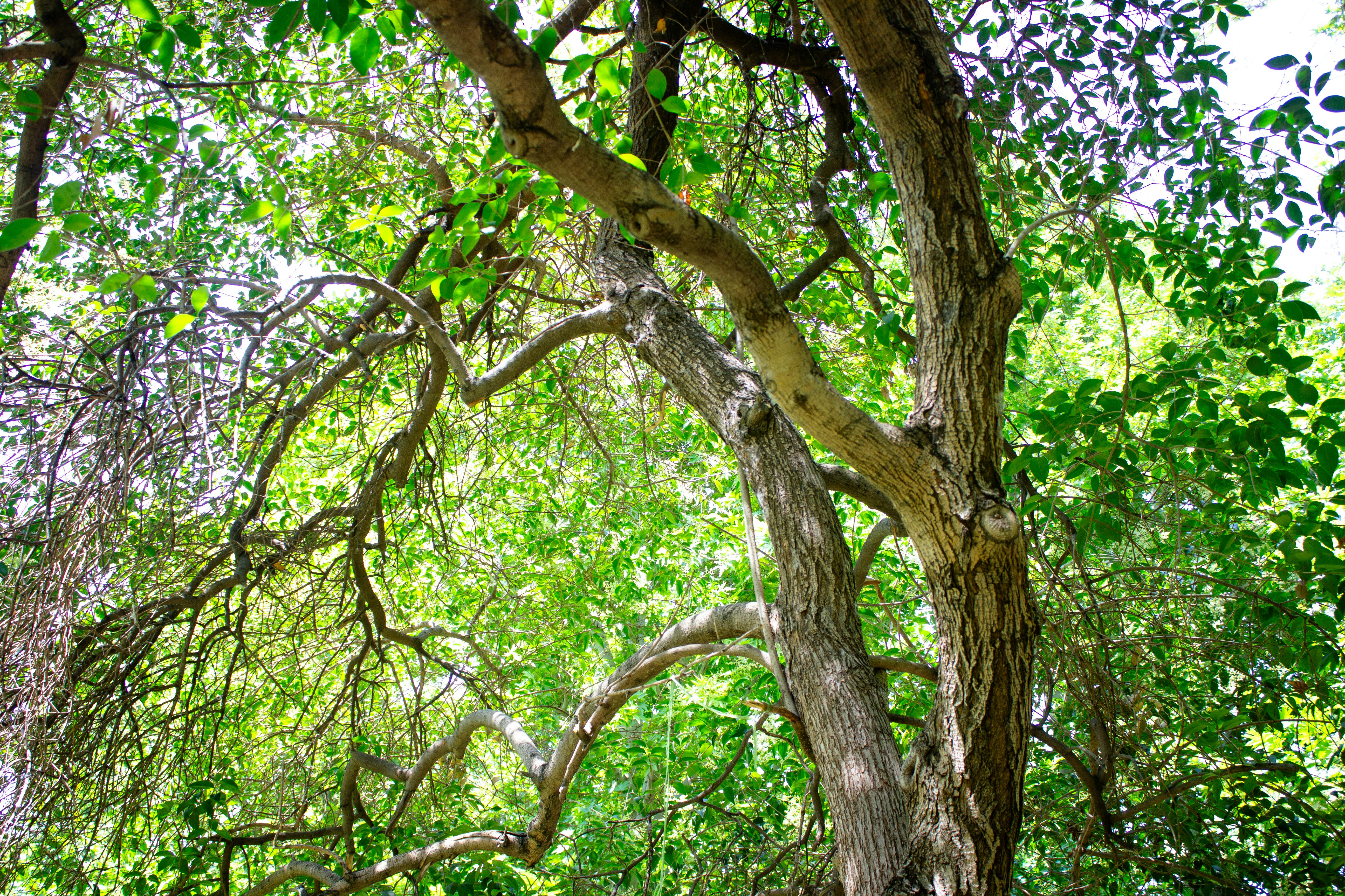 Photo by elham_frame