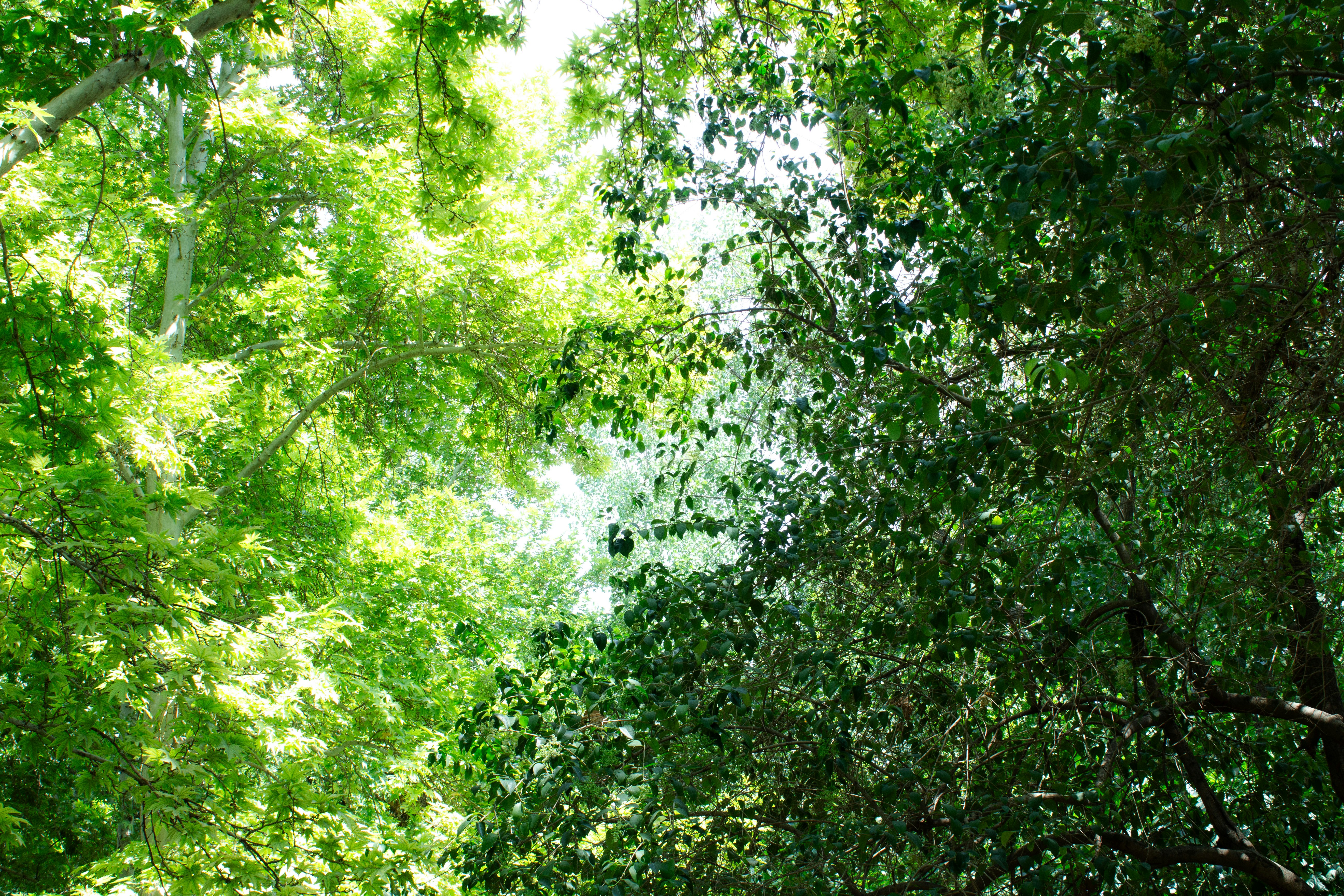 Photo by elham_frame