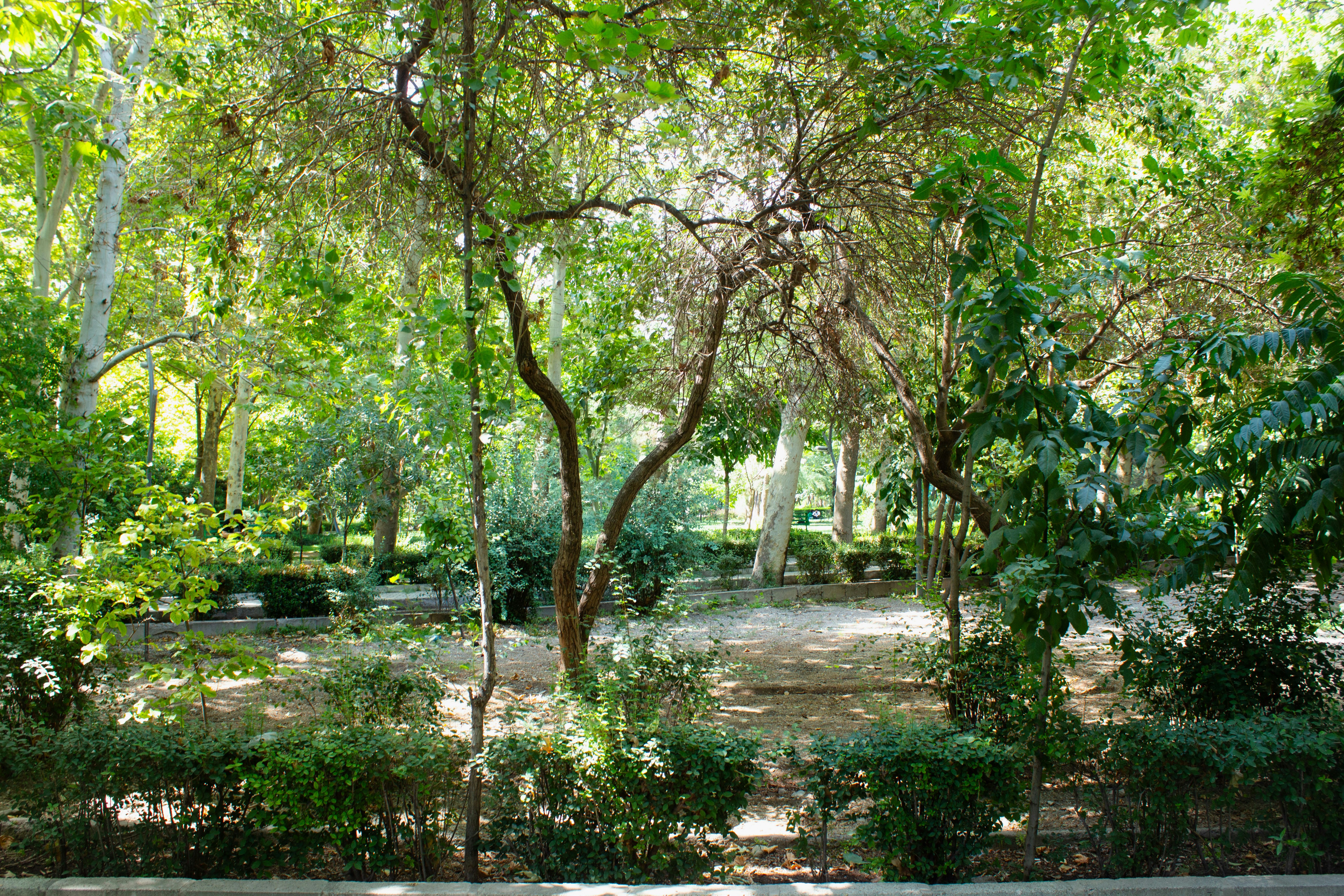 Photo by elham_frame