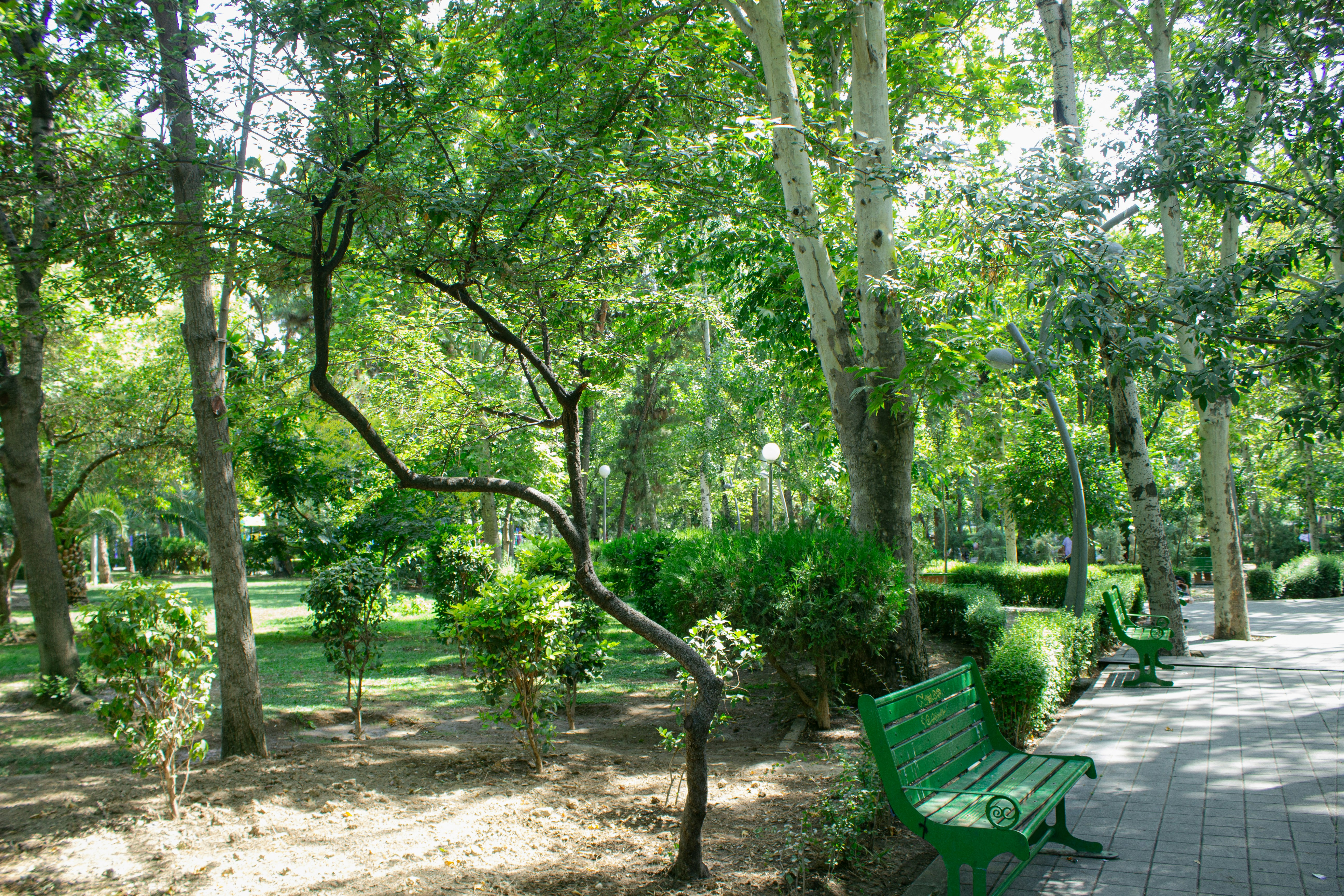 Photo by elham_frame