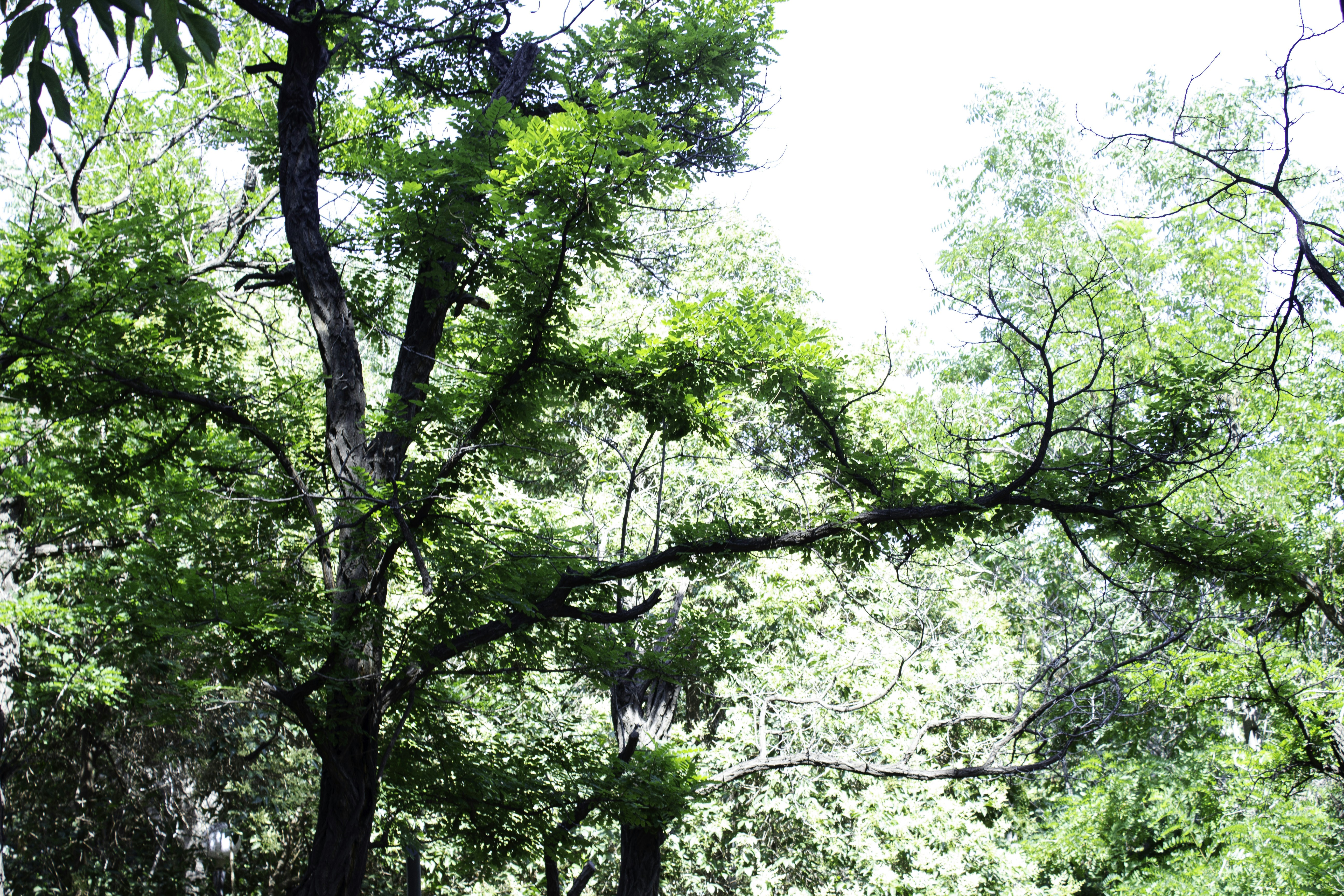 Photo by elham_frame