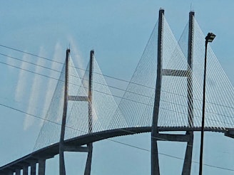 A view of a bridge from across the water