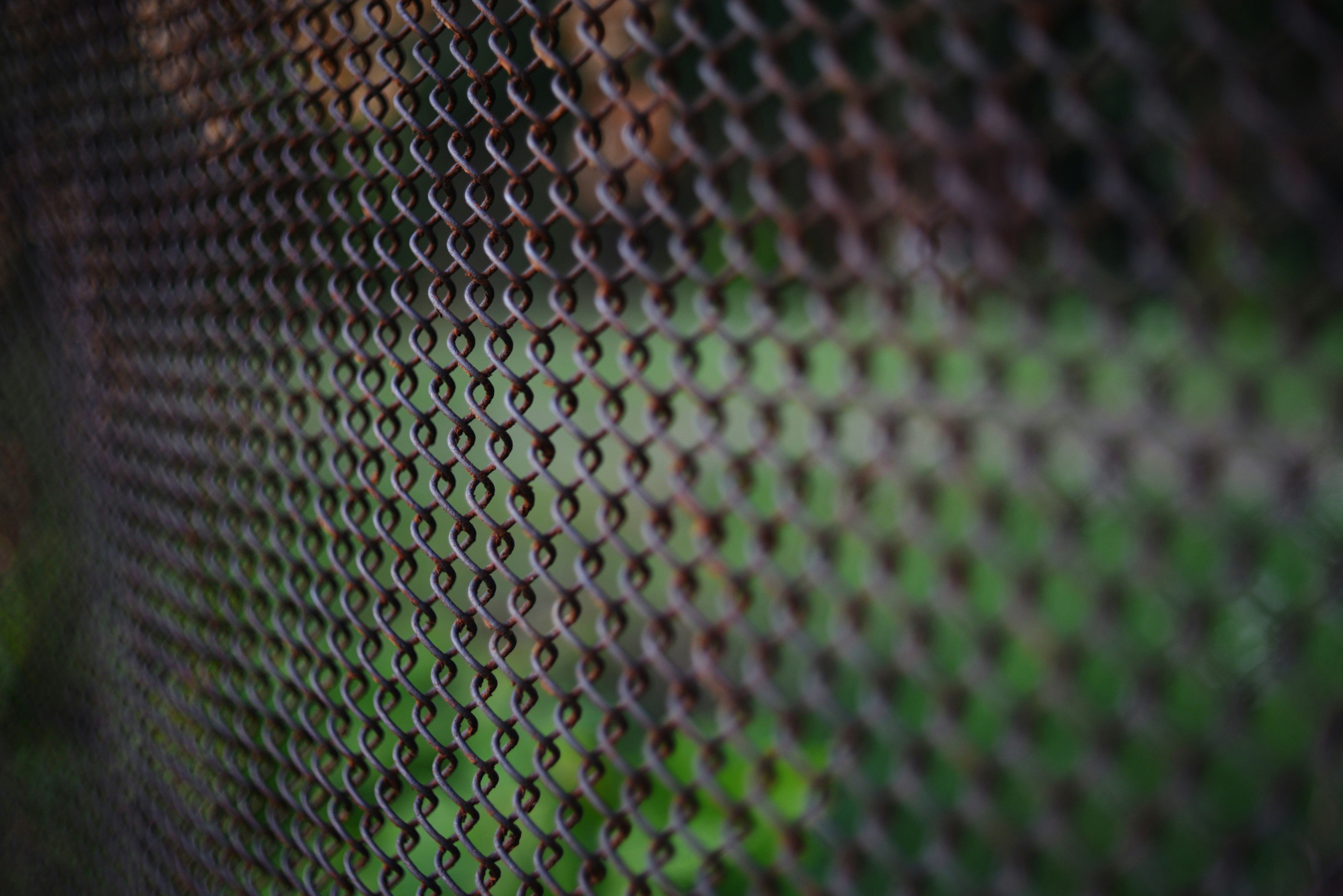 Photo by cherstve_pechivo