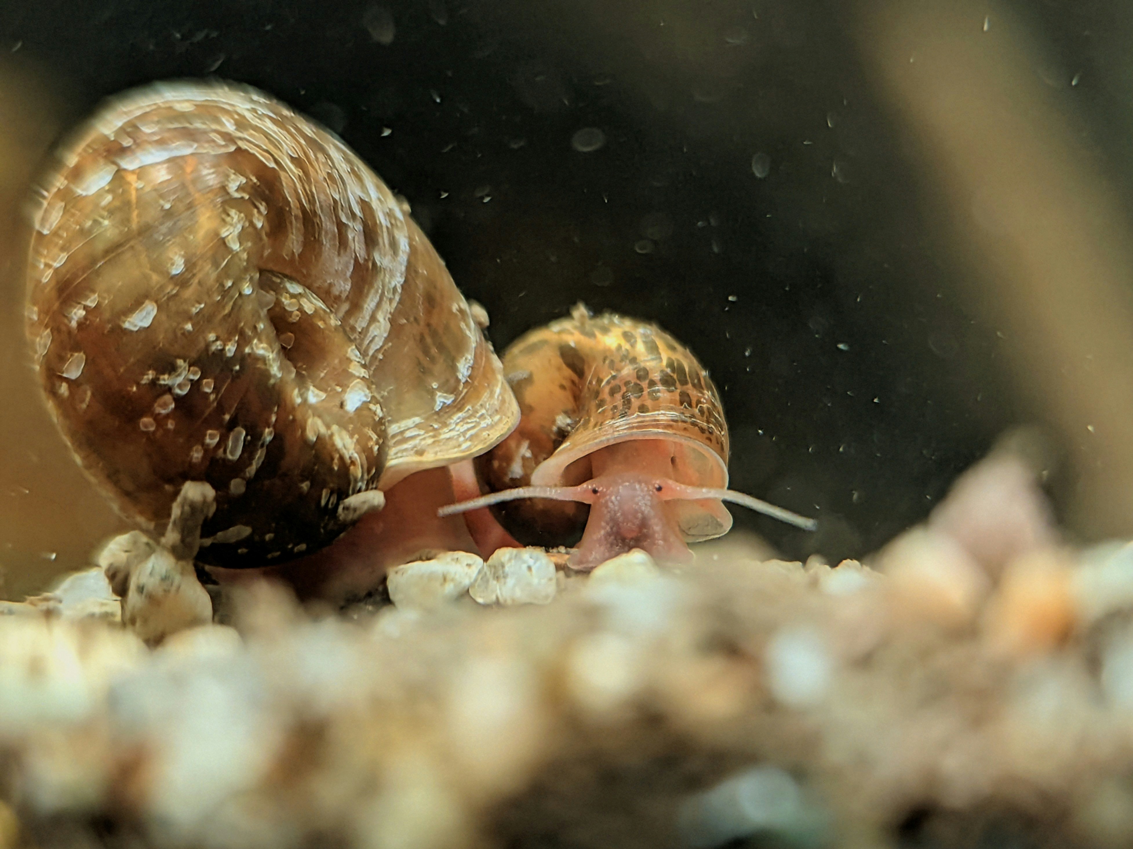 peaceful nature scene