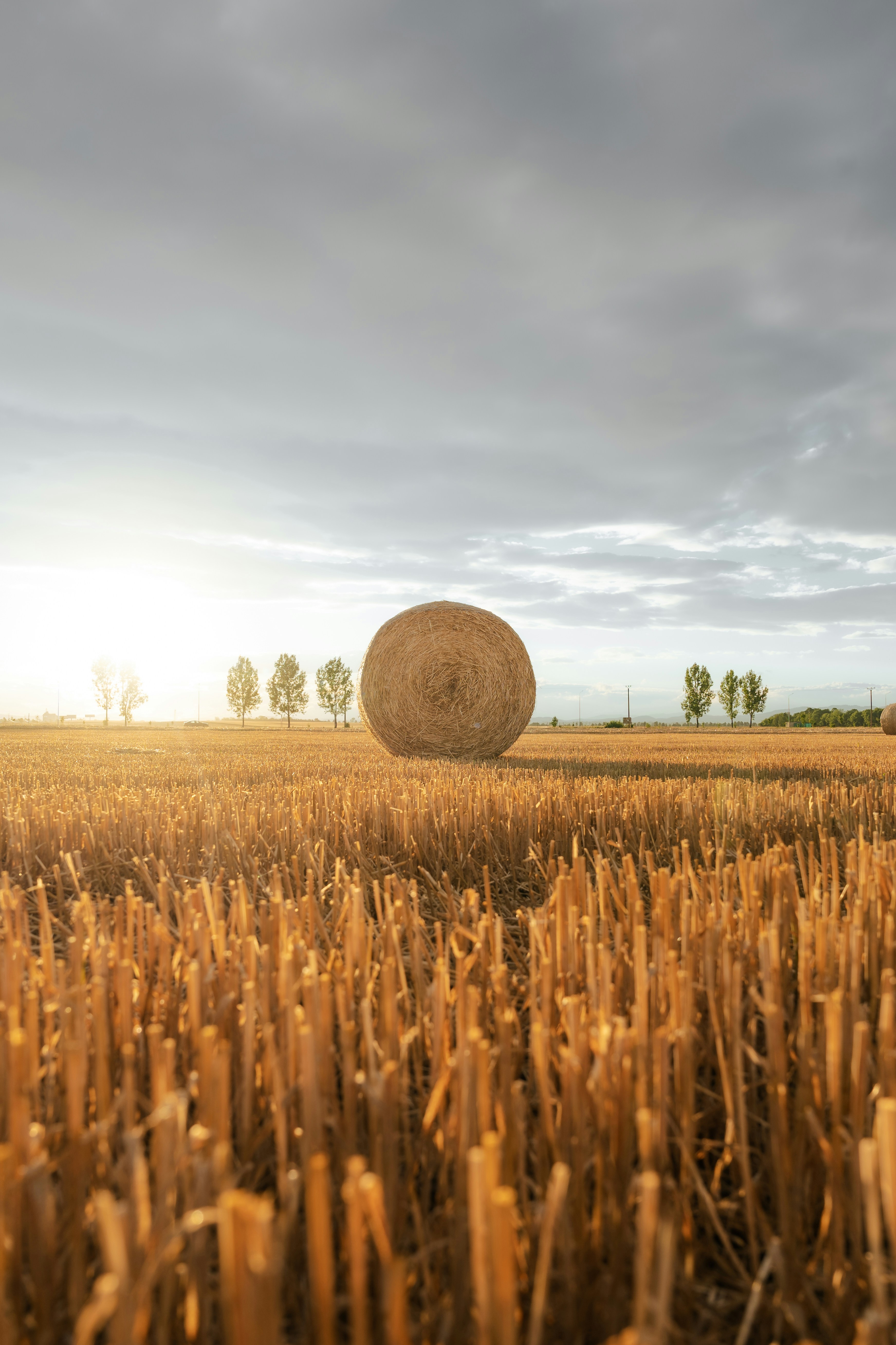 Photo by iuliansandu