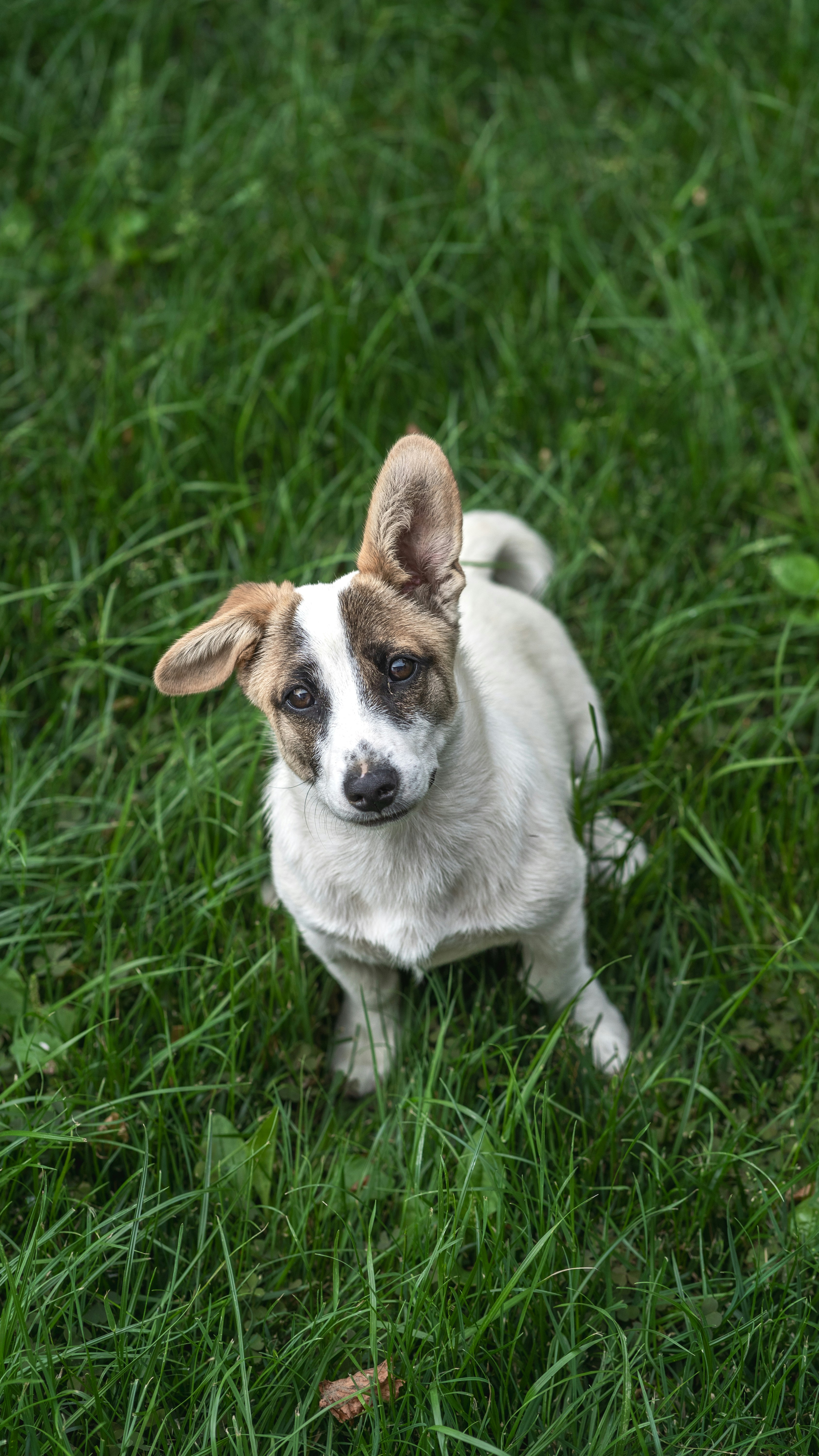 Photo by iuliansandu