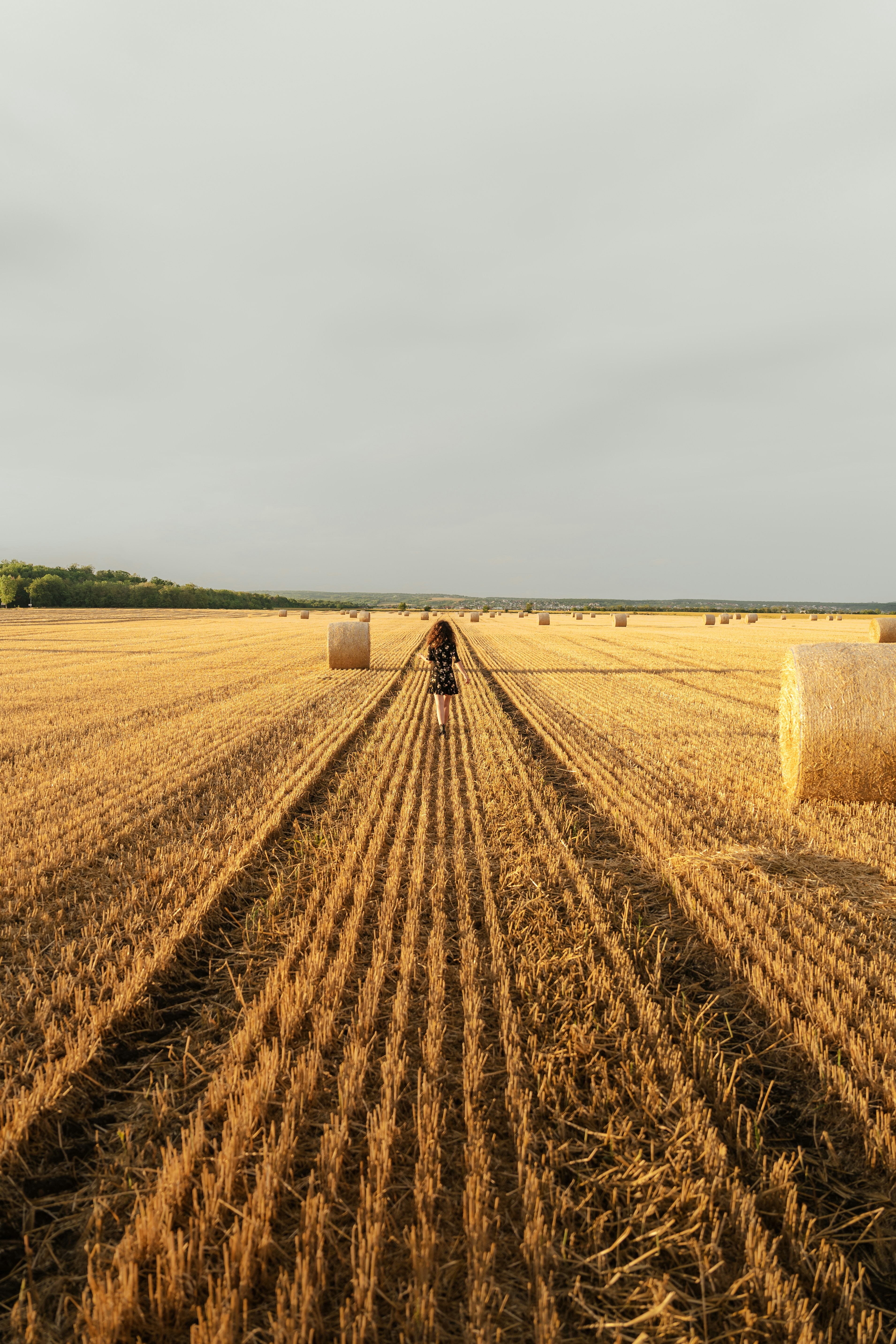A person standing in a field with bales of hay
