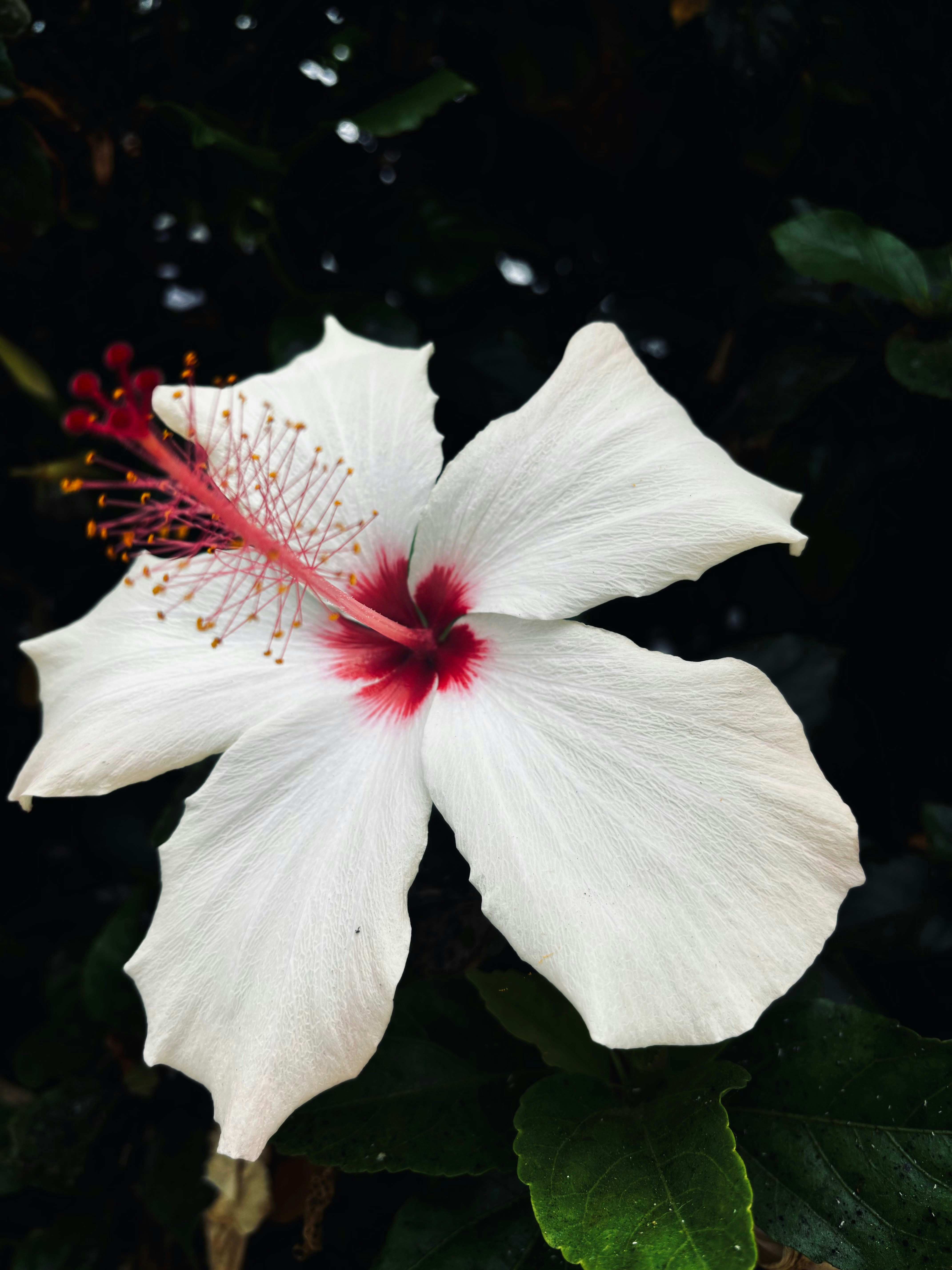 Photo by alinkaaa_13