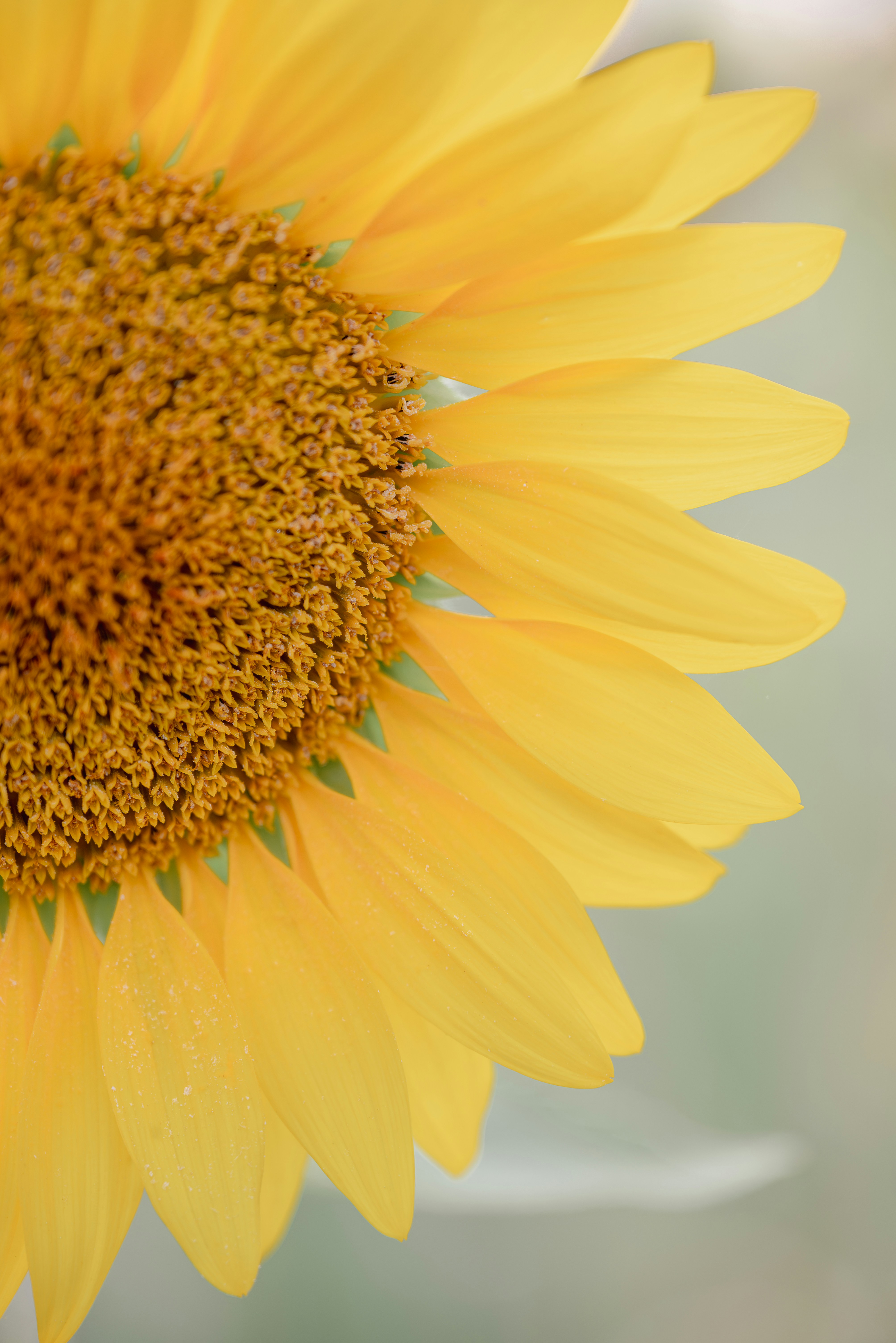 Photo by jetztabertempo