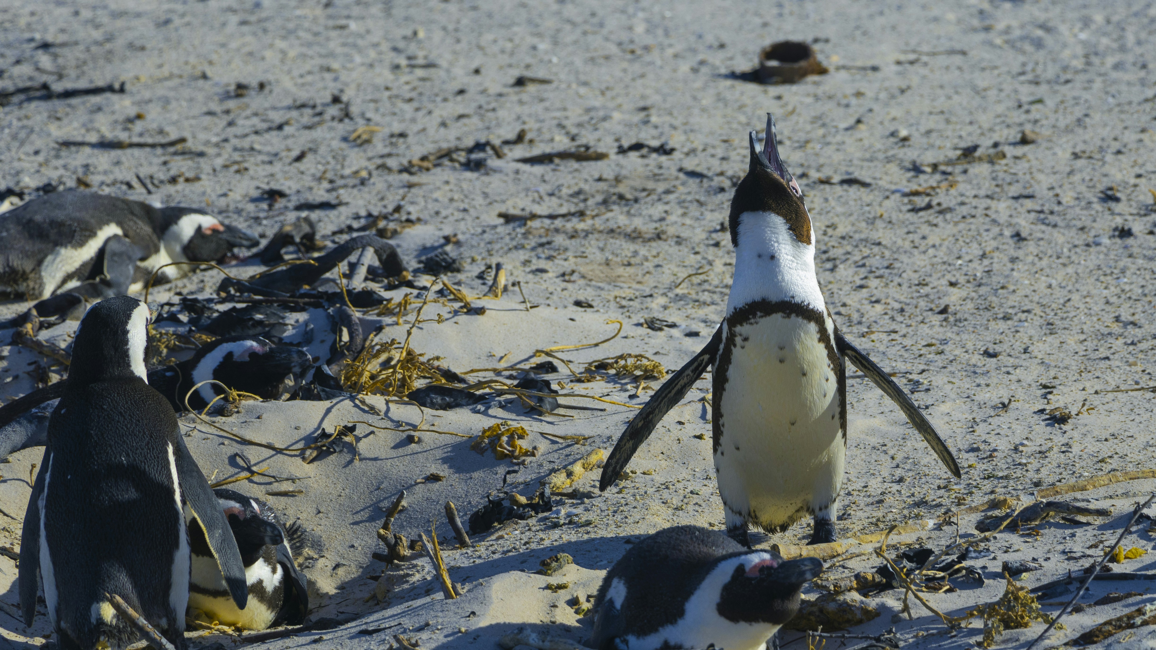 Photo by s_arshia_nzm