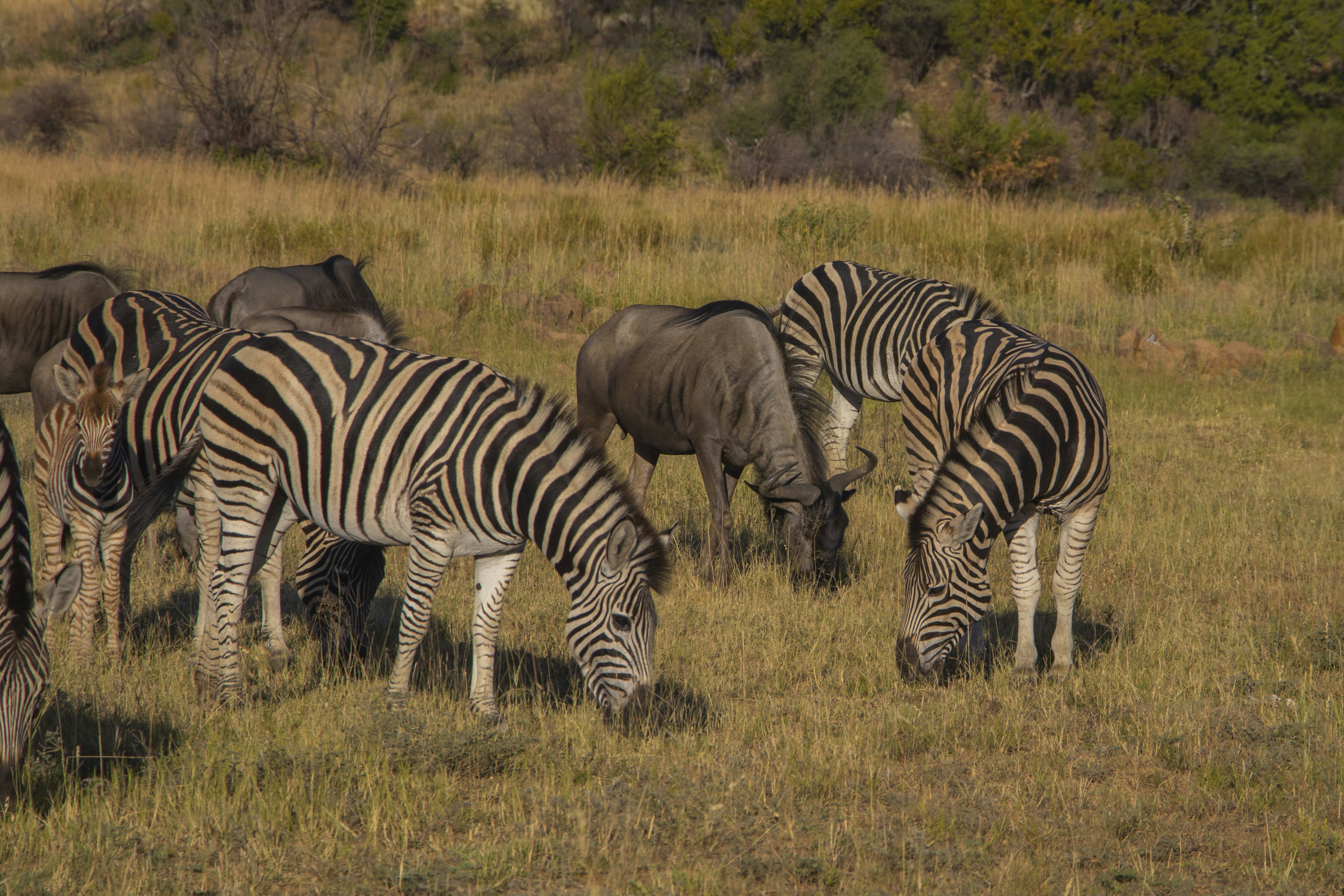 Photo by s_arshia_nzm