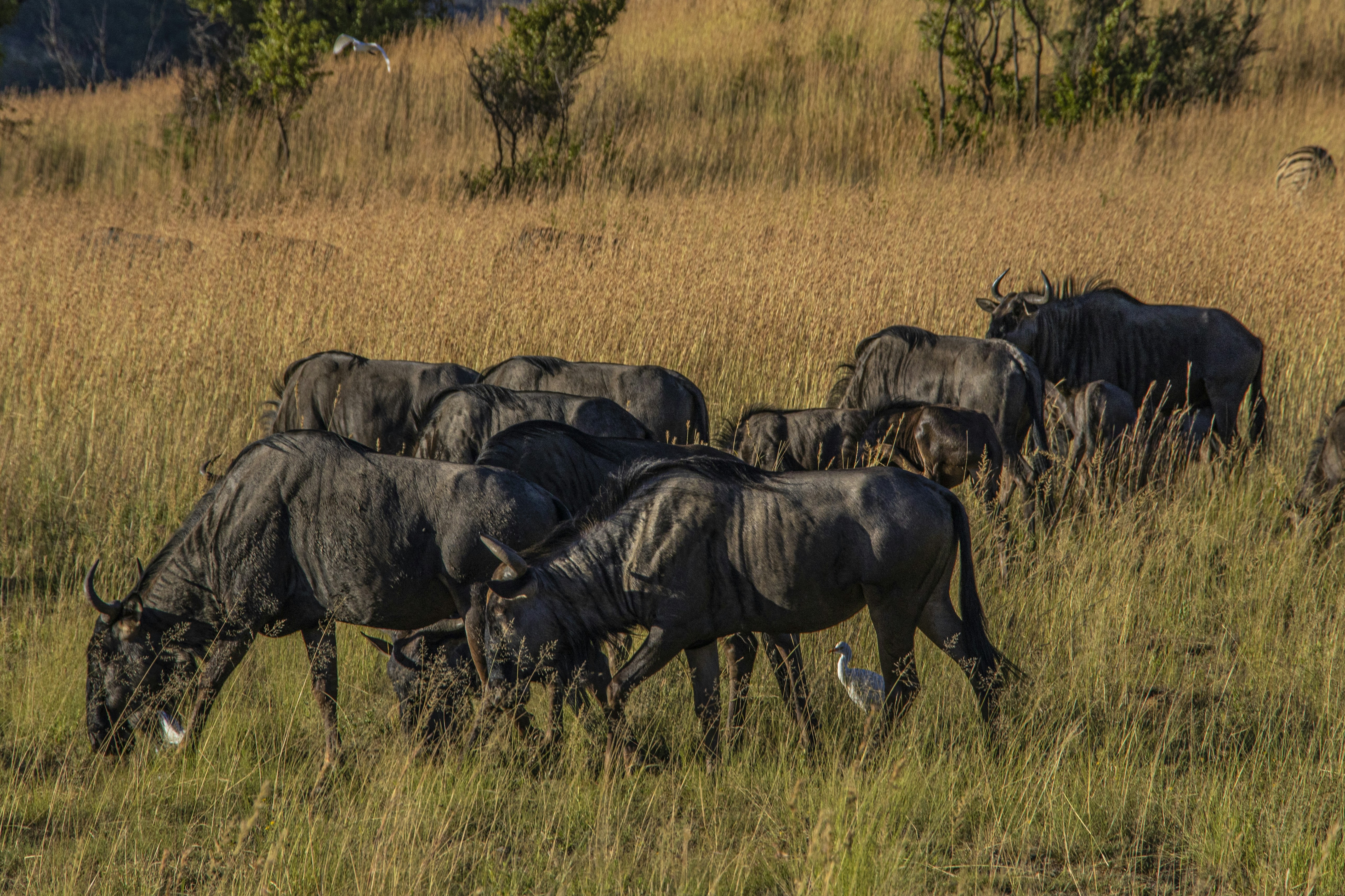 Photo by s_arshia_nzm