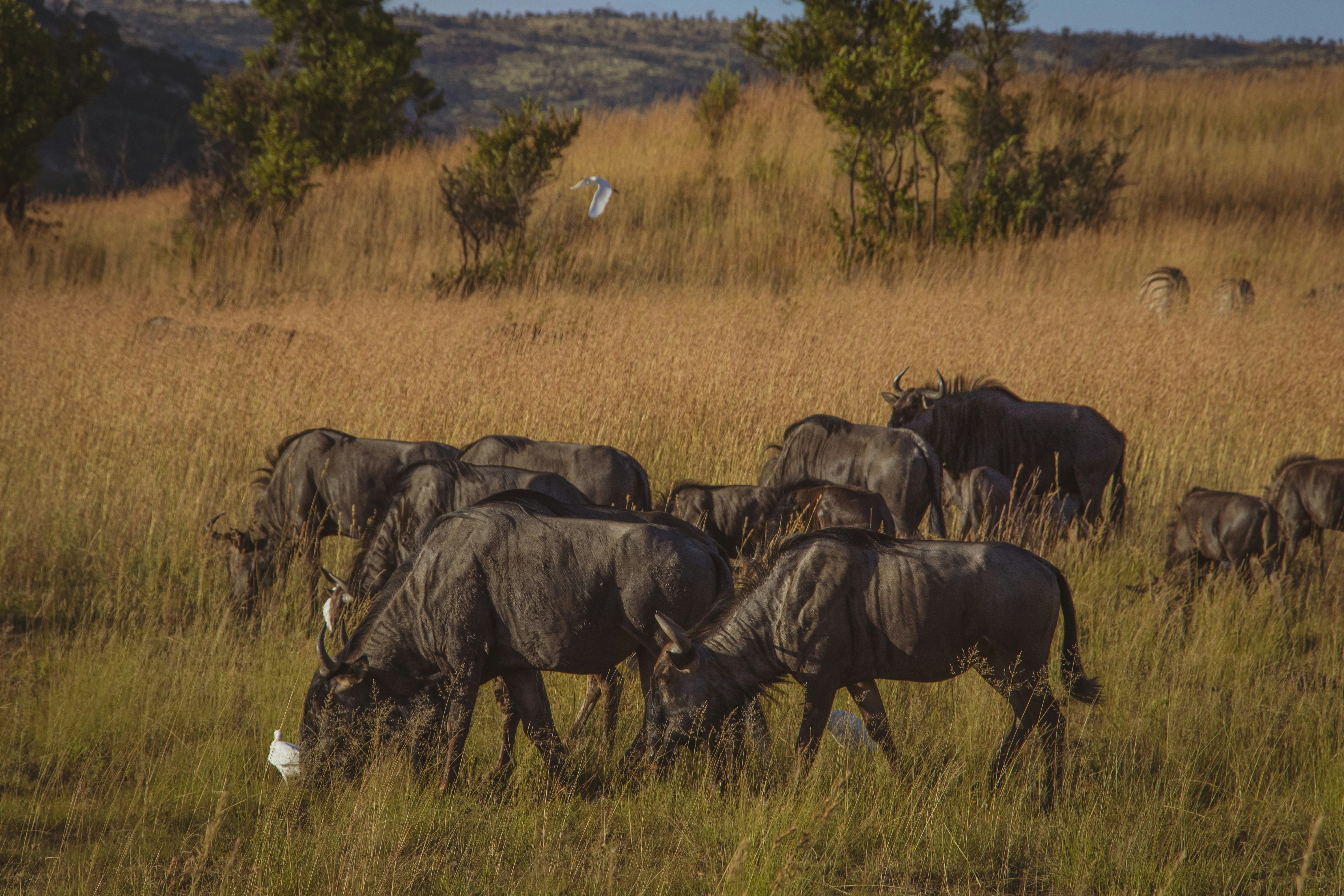 Photo by s_arshia_nzm