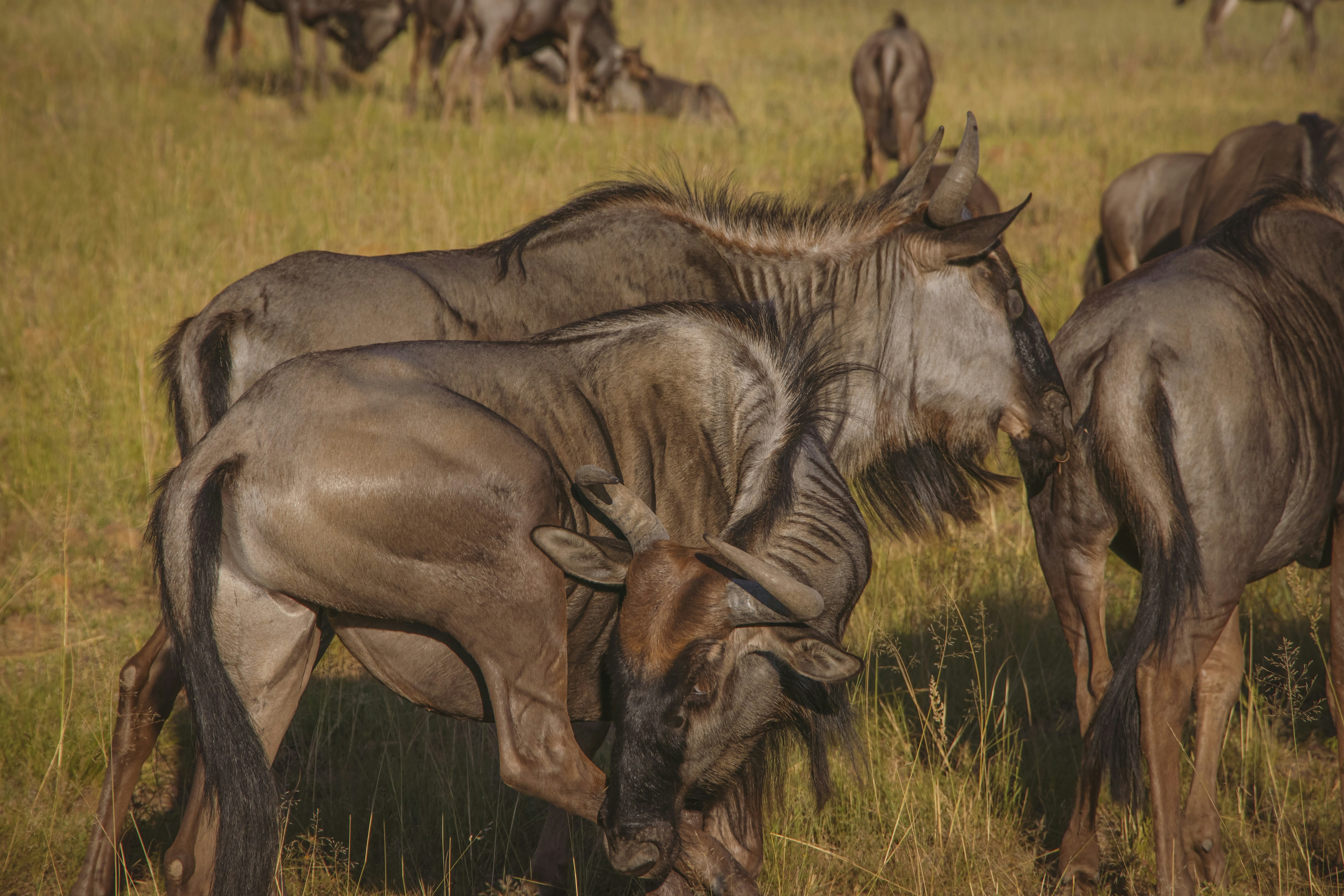 Photo by s_arshia_nzm