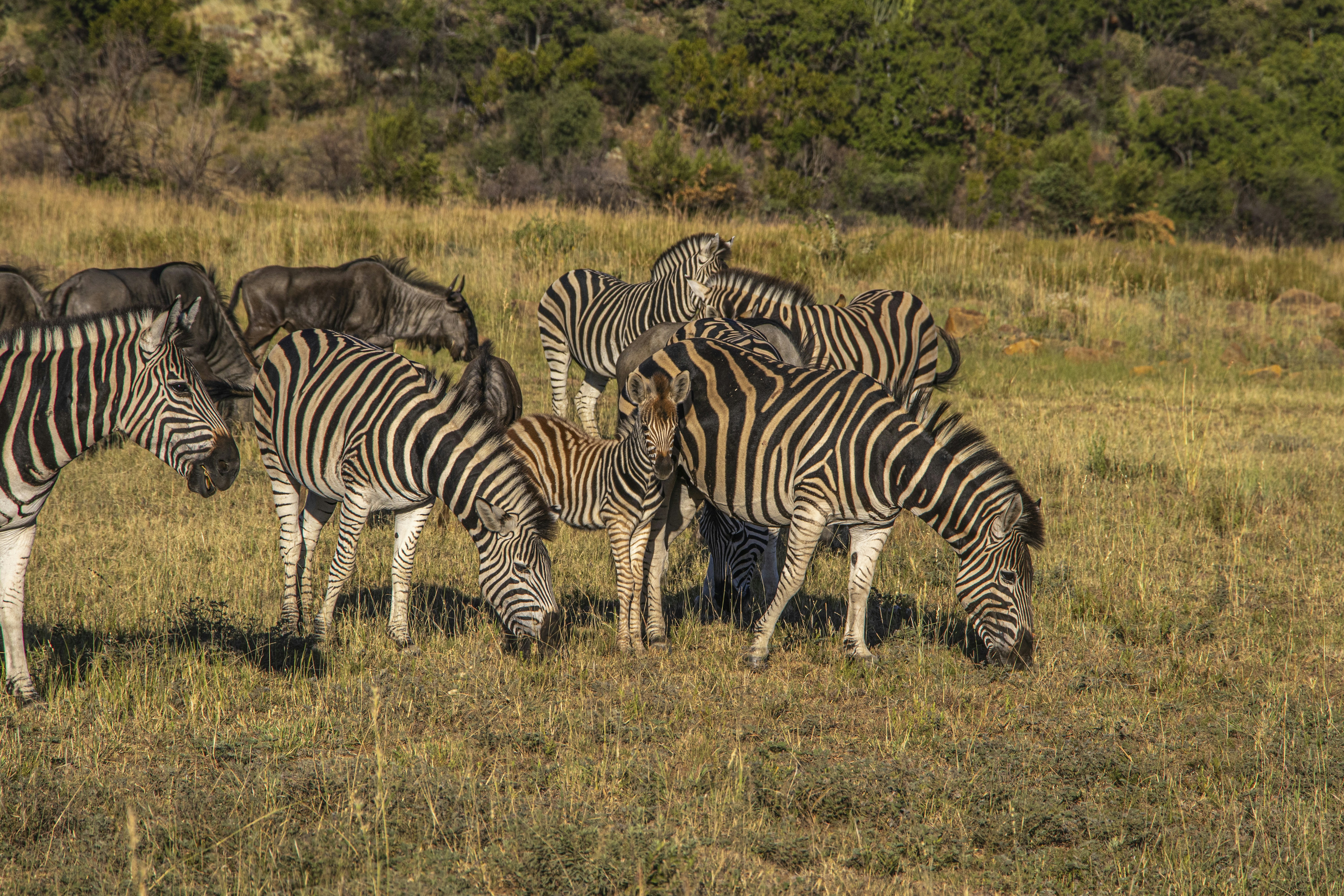 Photo by s_arshia_nzm