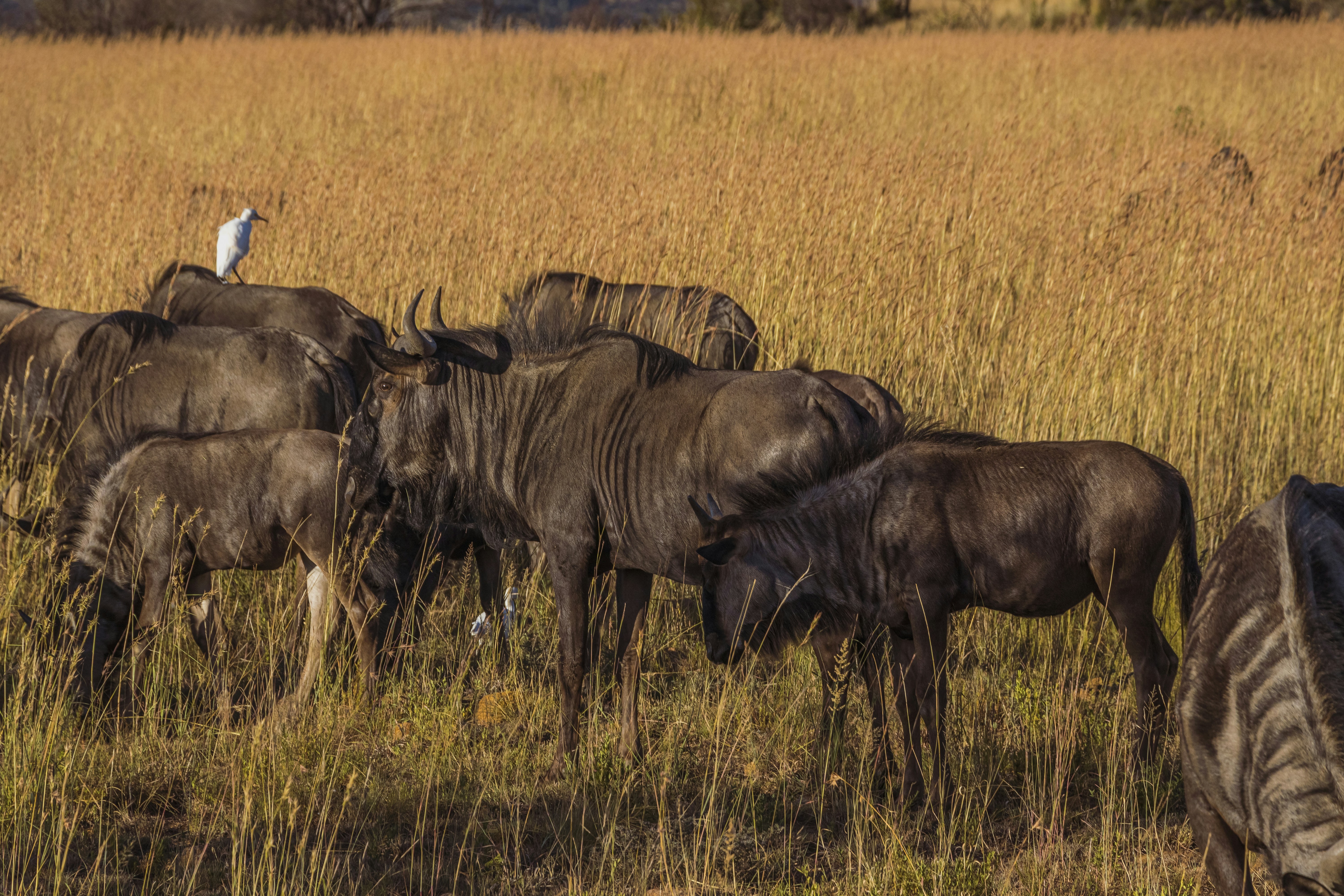 Photo by s_arshia_nzm